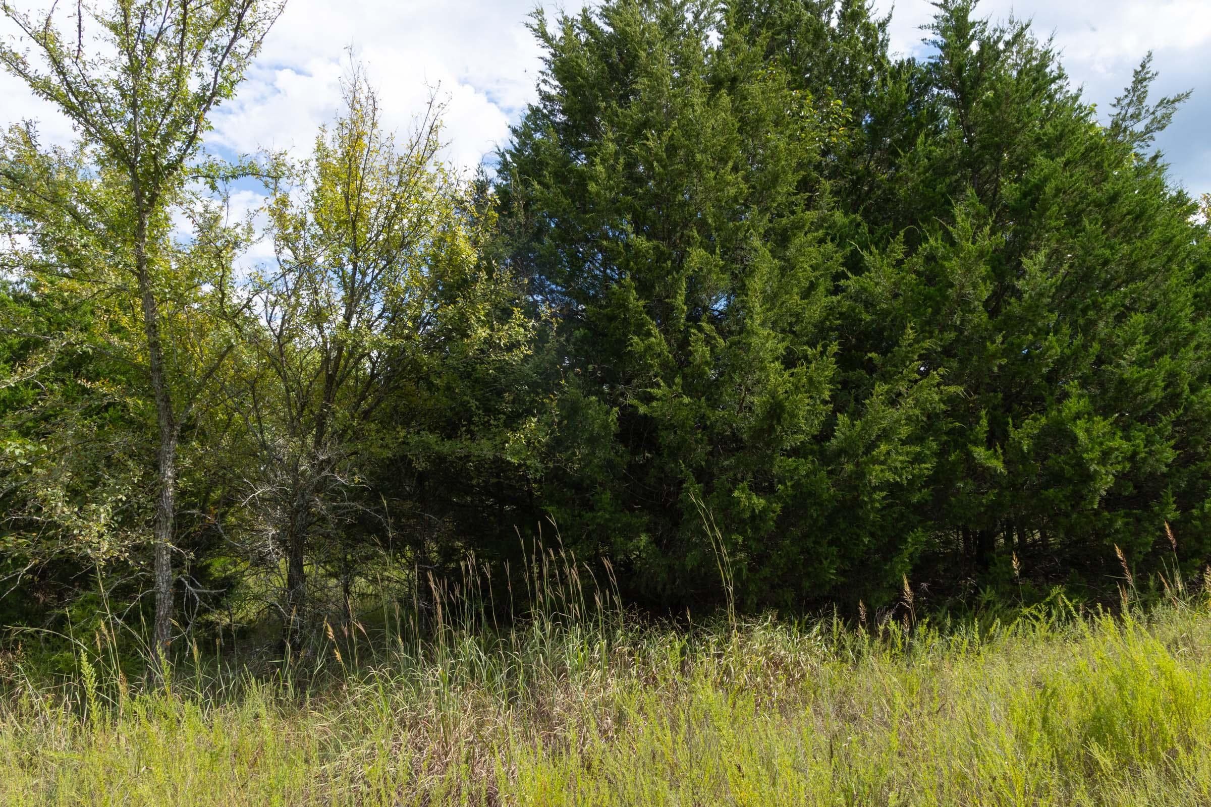 Reserves At Cattail Cove Phase II — Zero Credit Land owner financed land for sale in Pittsburg County, Oklahoma photo 33