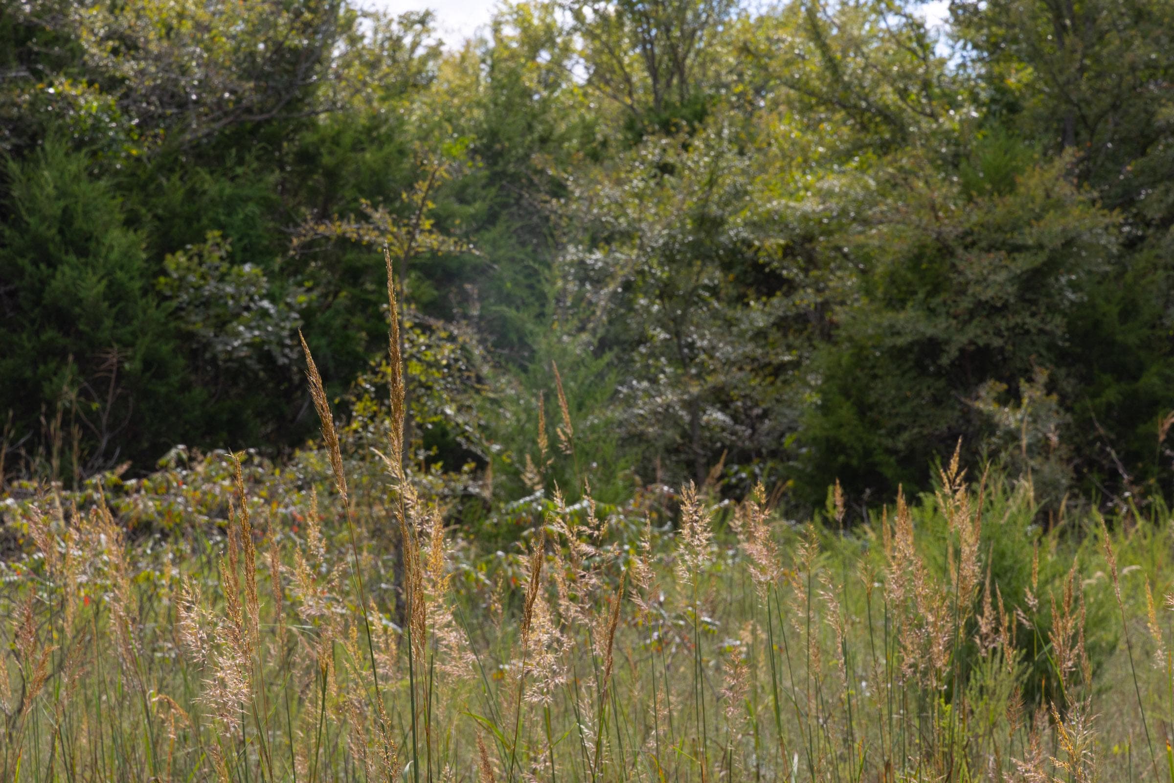  Reserves At Cattail Cove Phase II — Zero Credit Land owner financed land for sale in Pittsburg County, Oklahoma photo 34