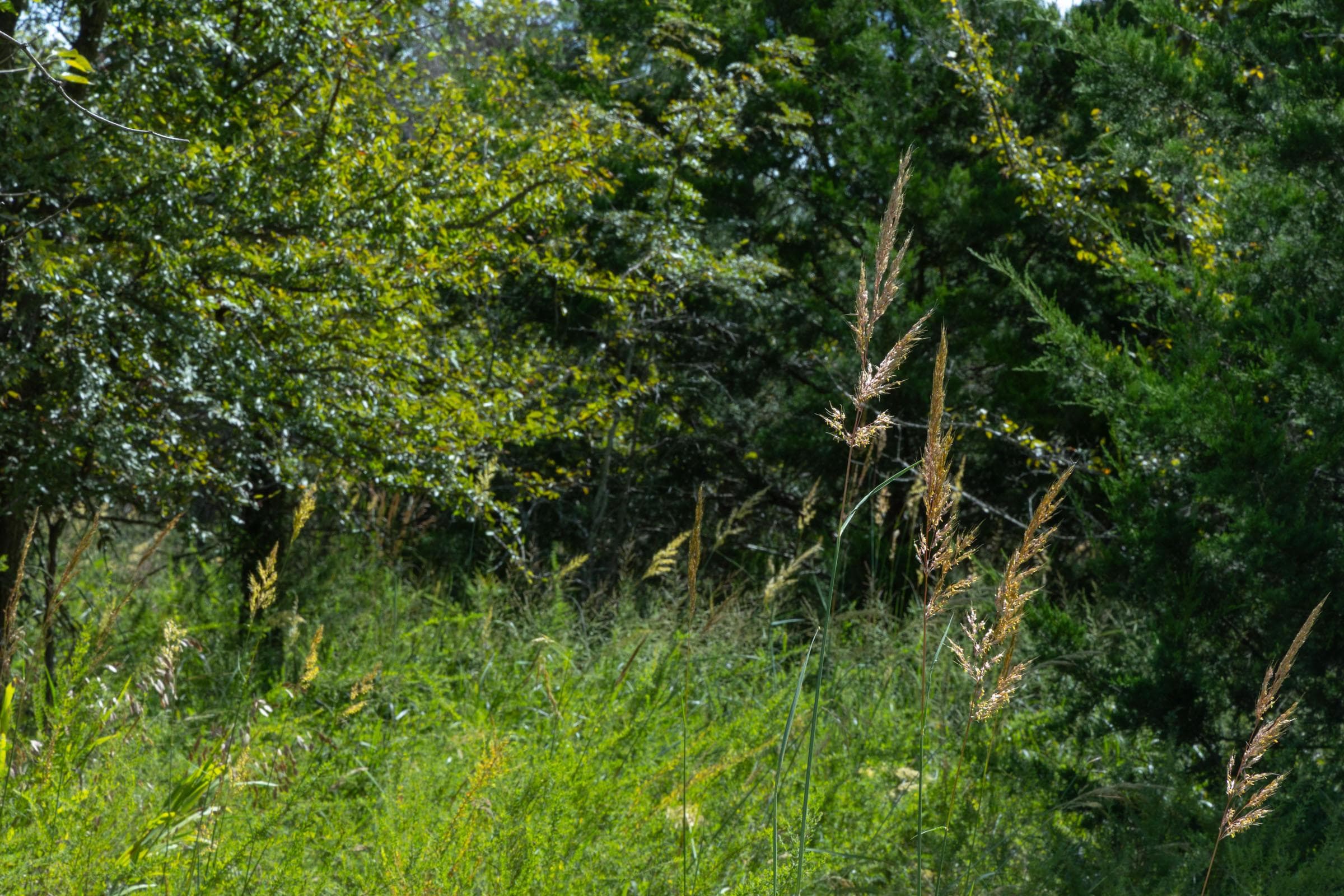  Reserves At Cattail Cove Phase II — Zero Credit Land owner financed land for sale in Pittsburg County, Oklahoma photo 25