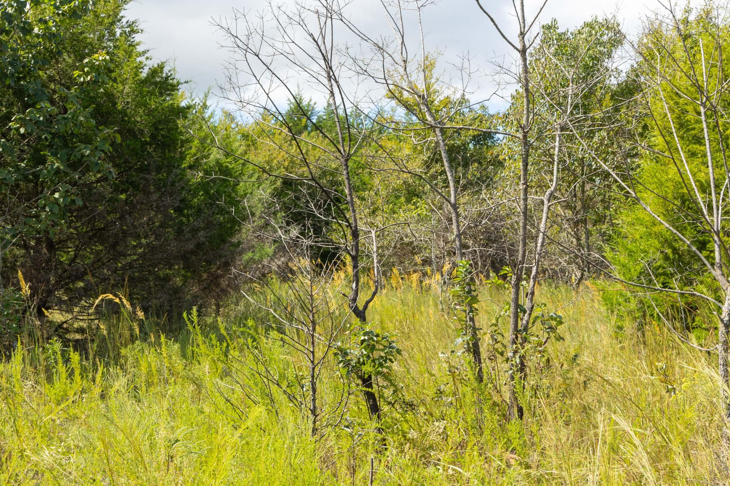  Reserves At Cattail Cove Phase II — Zero Credit Land owner financed land for sale in Pittsburg County, Oklahoma photo 27