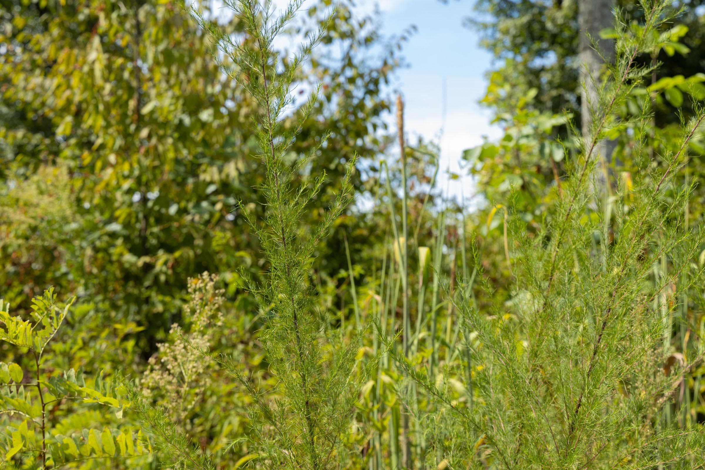 Property photo 98