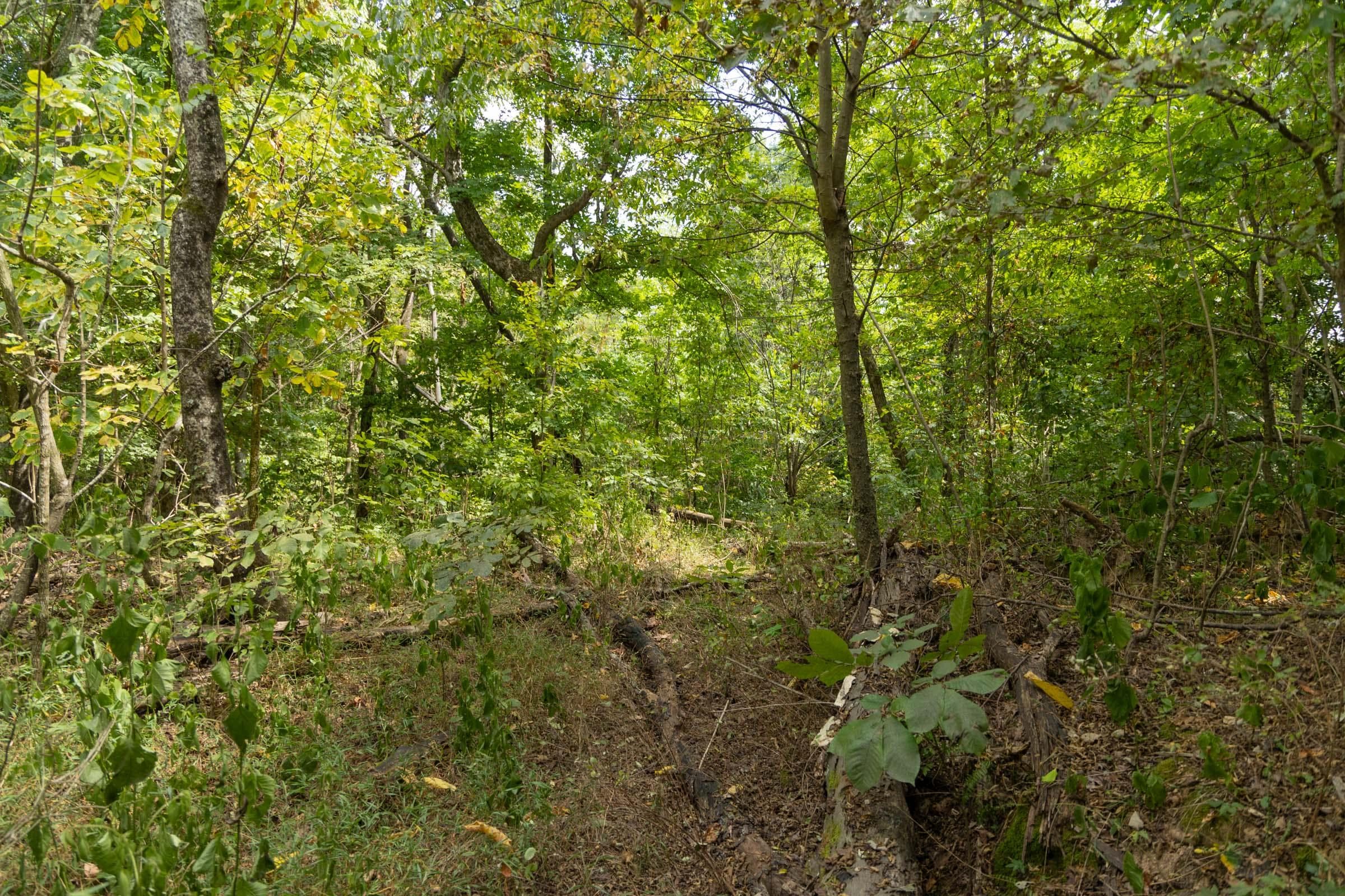 Property photo 94