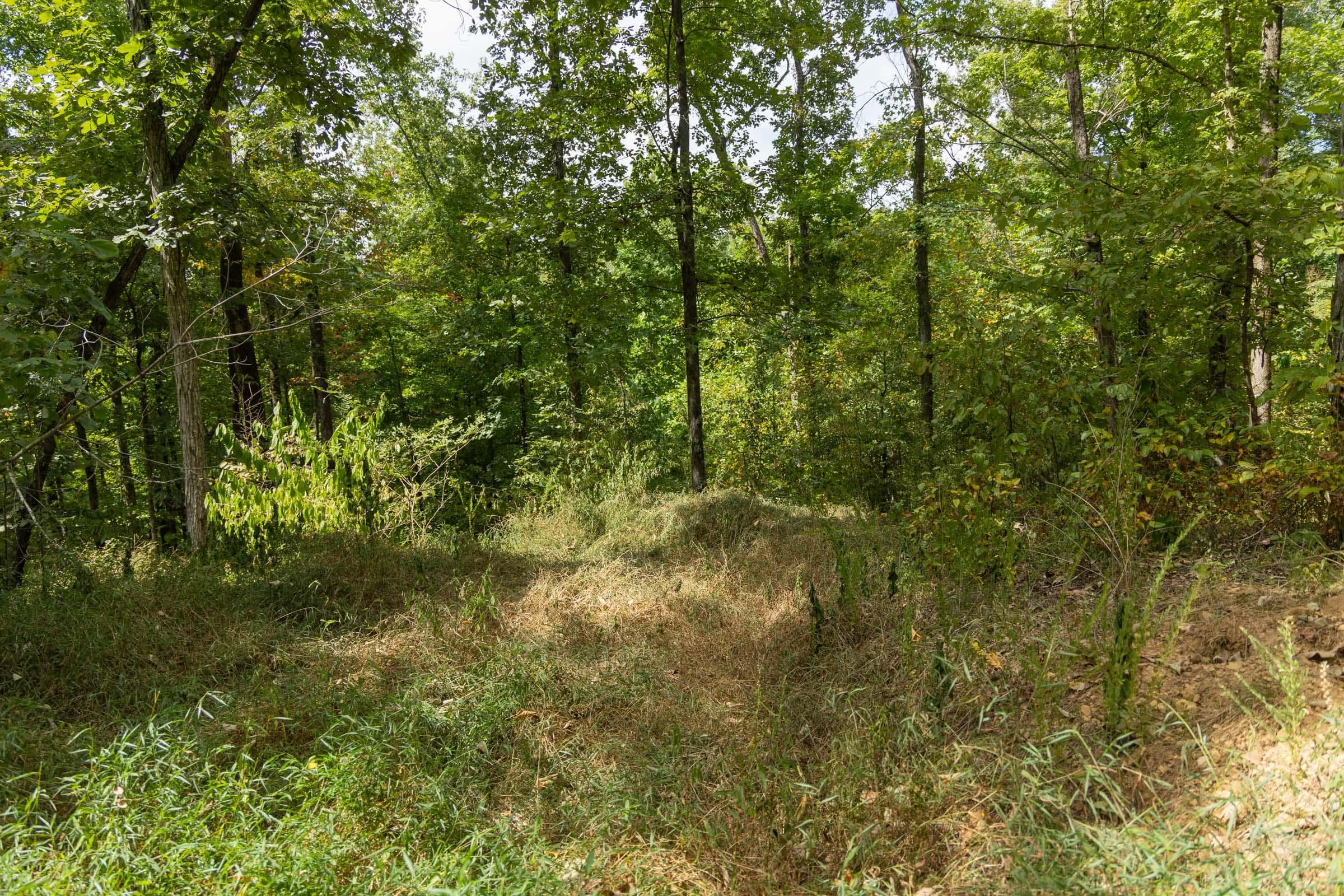 Property photo 89