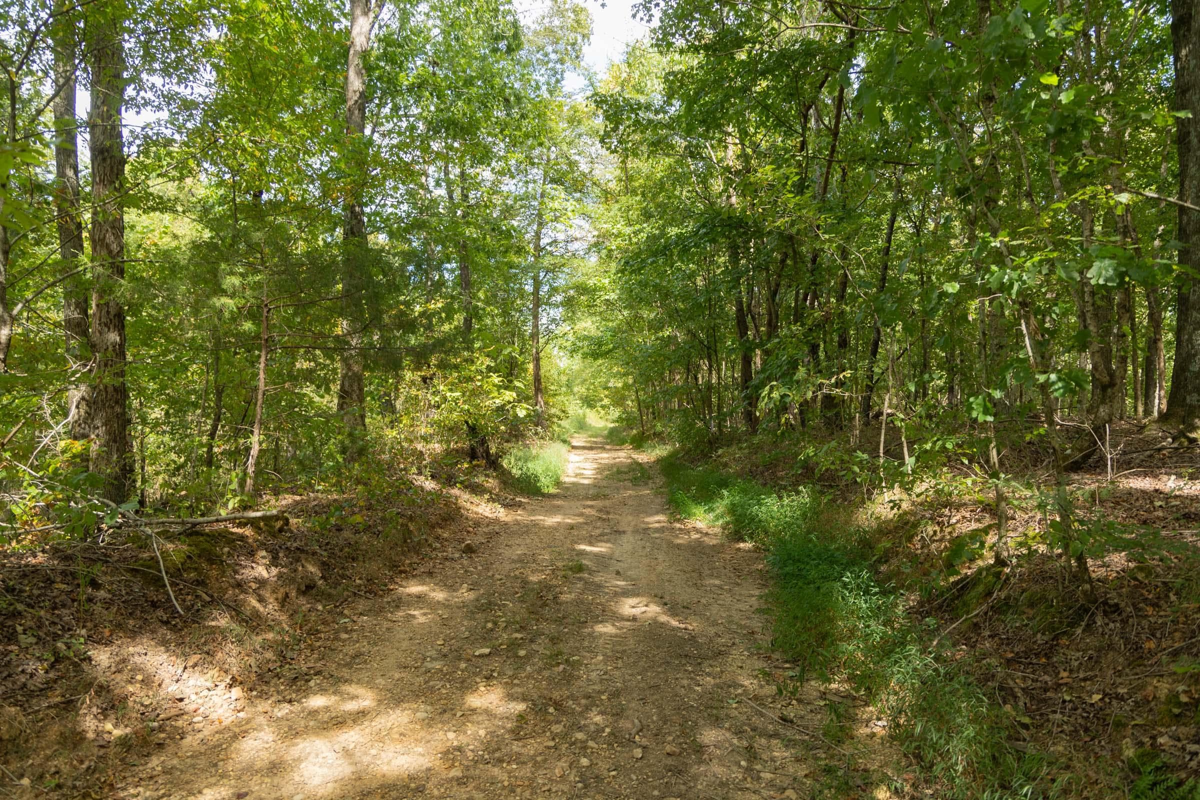 Property photo 95