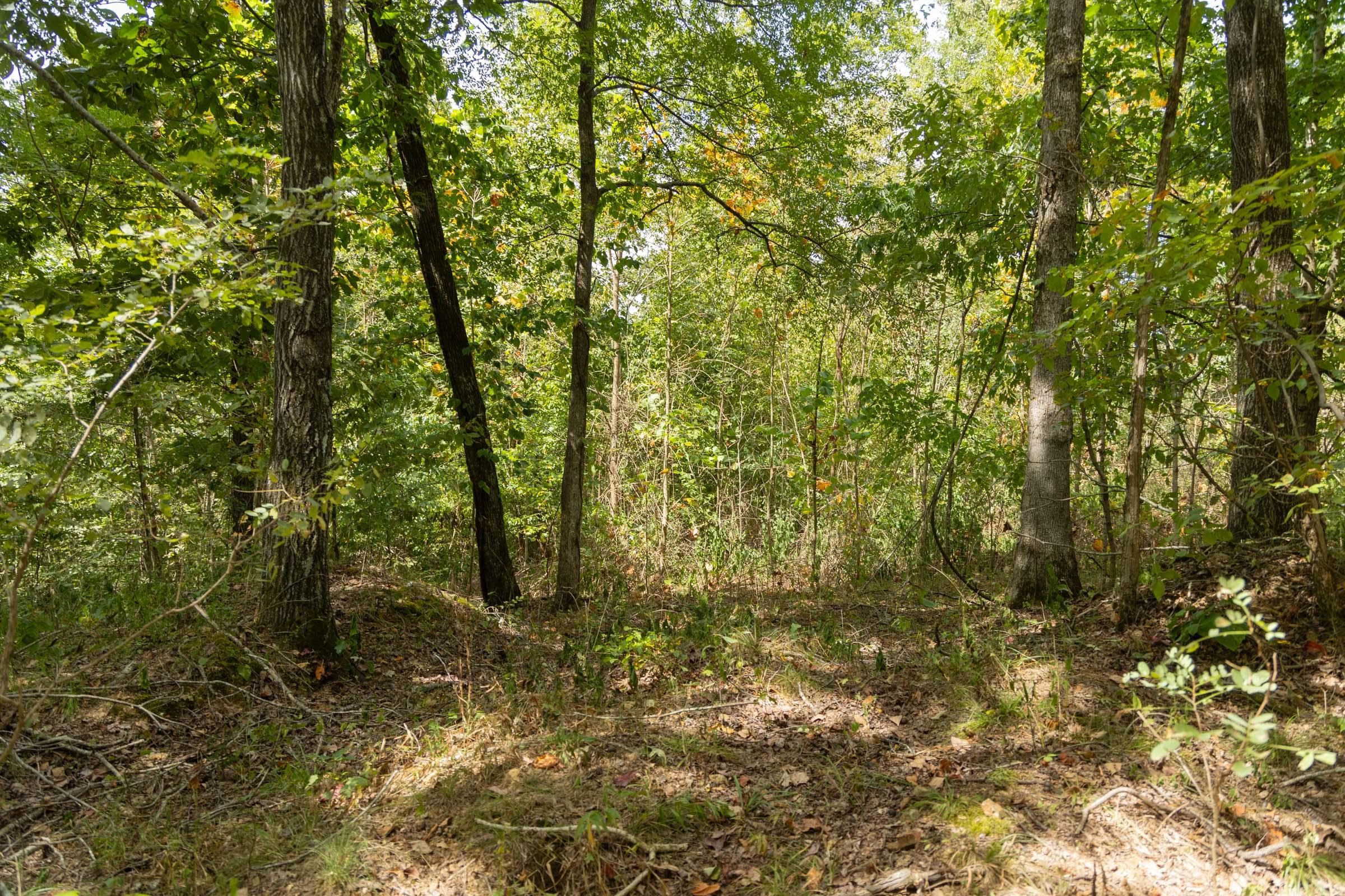 Property photo 93