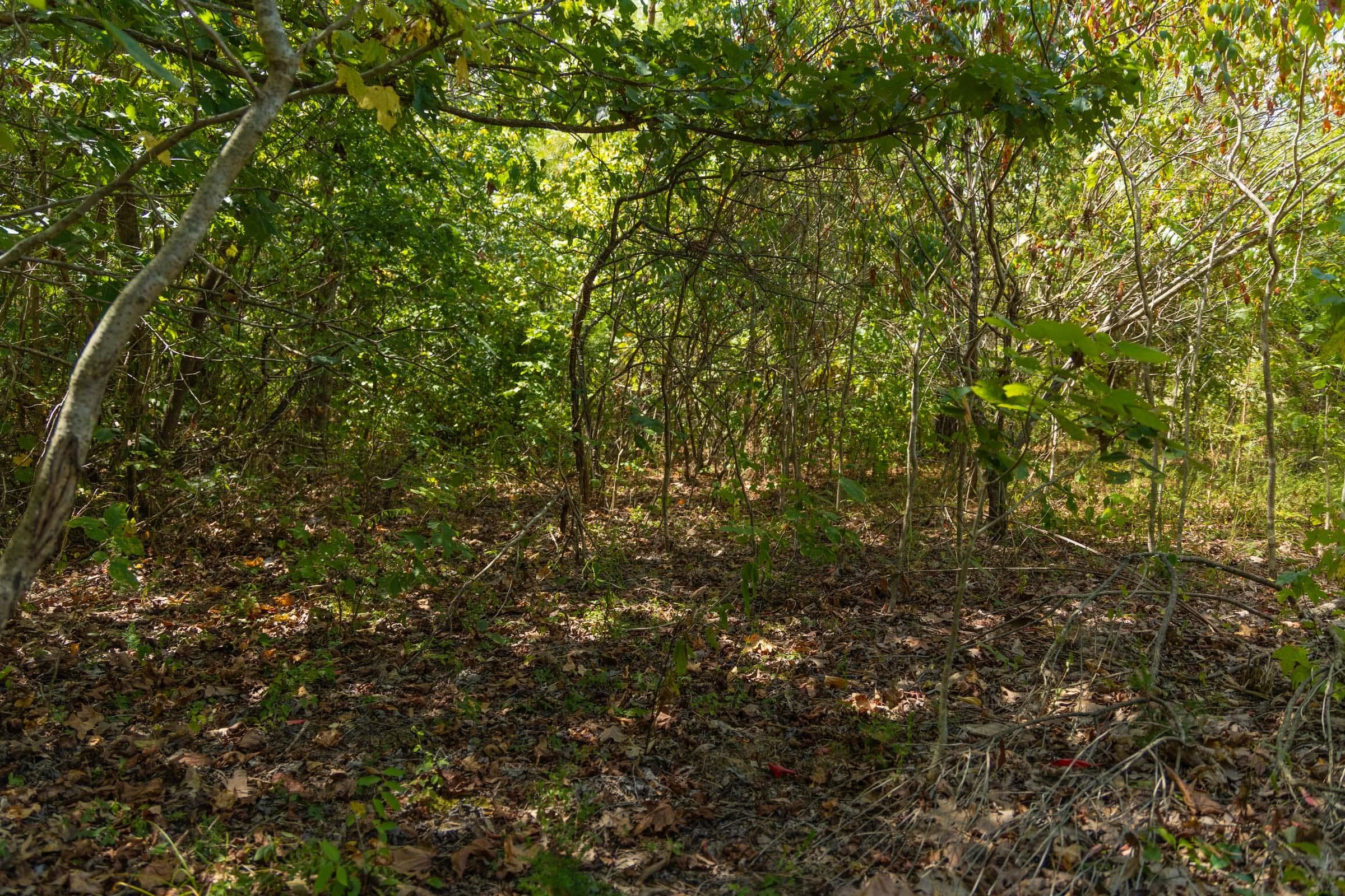 Property photo 87