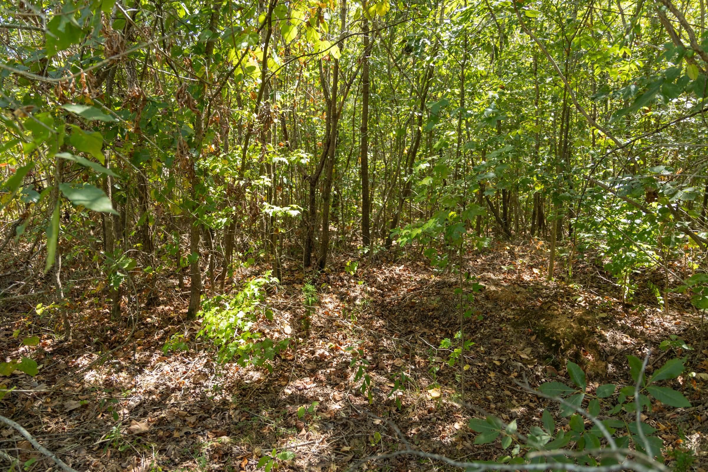 Property photo 84