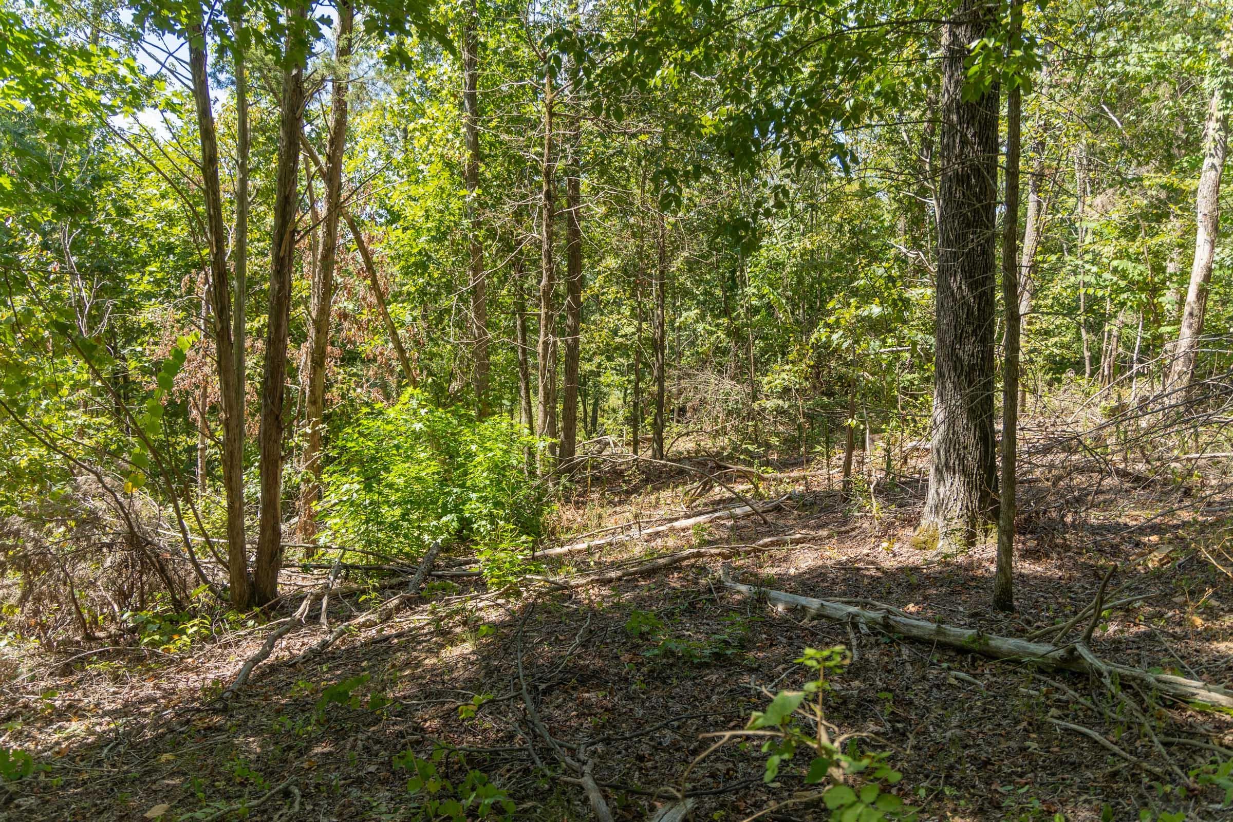 Property photo 82