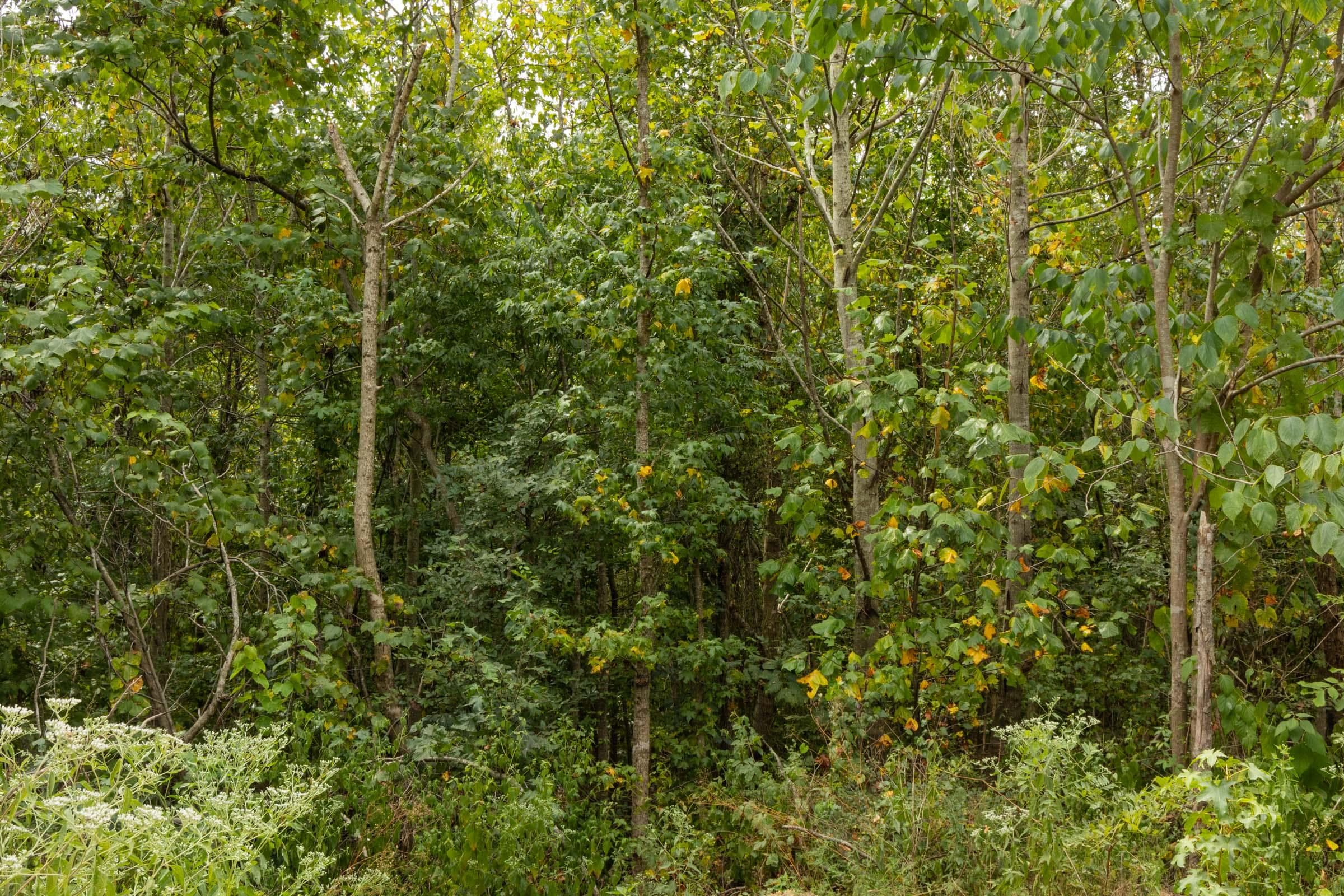 Property photo 63