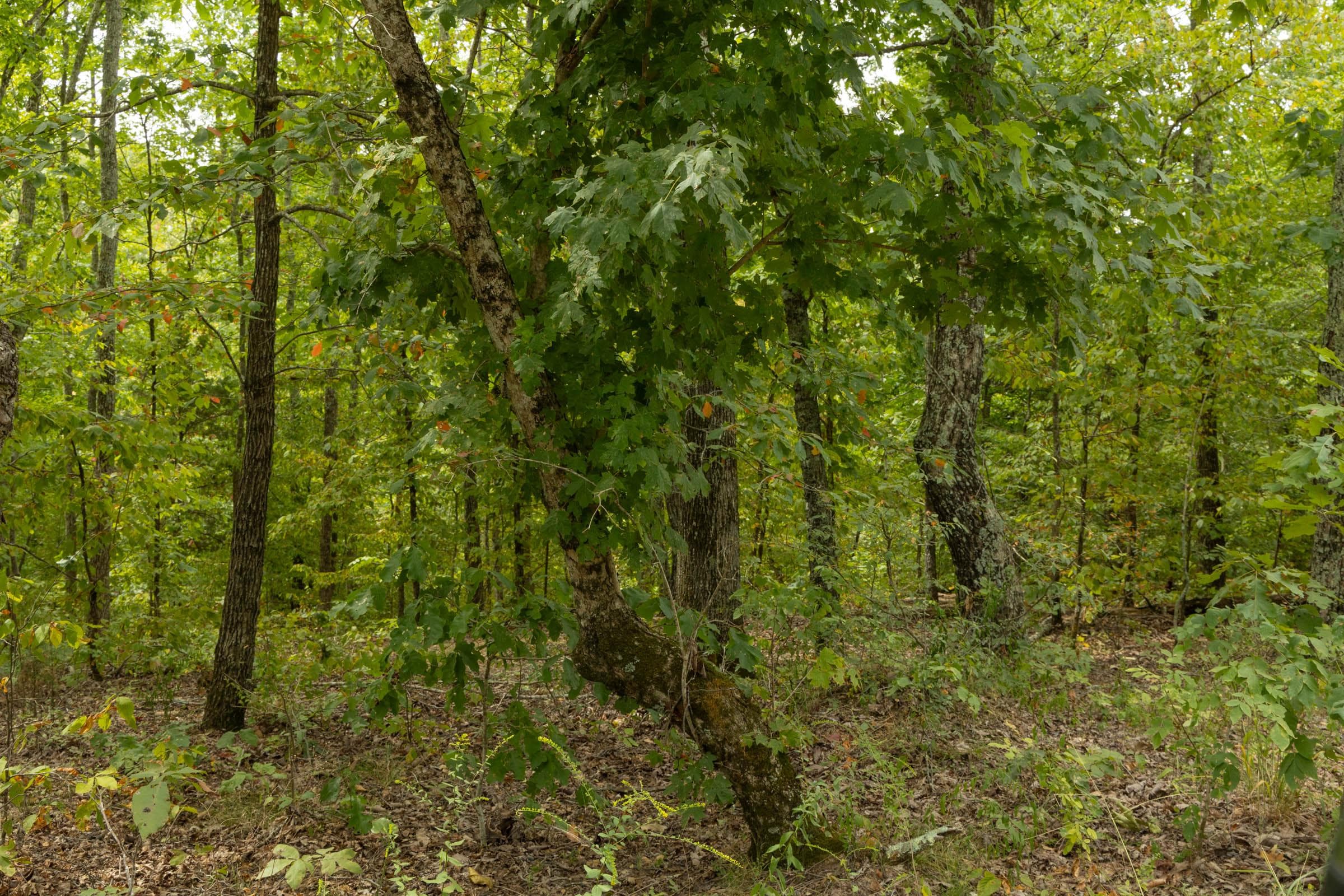 Property photo 59
