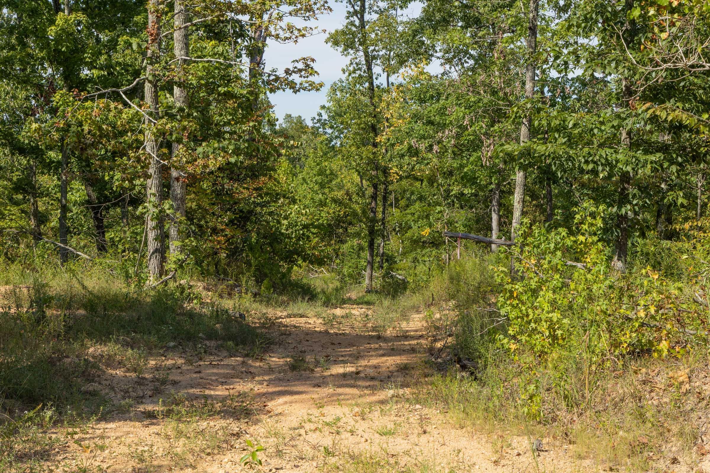 Property photo 53