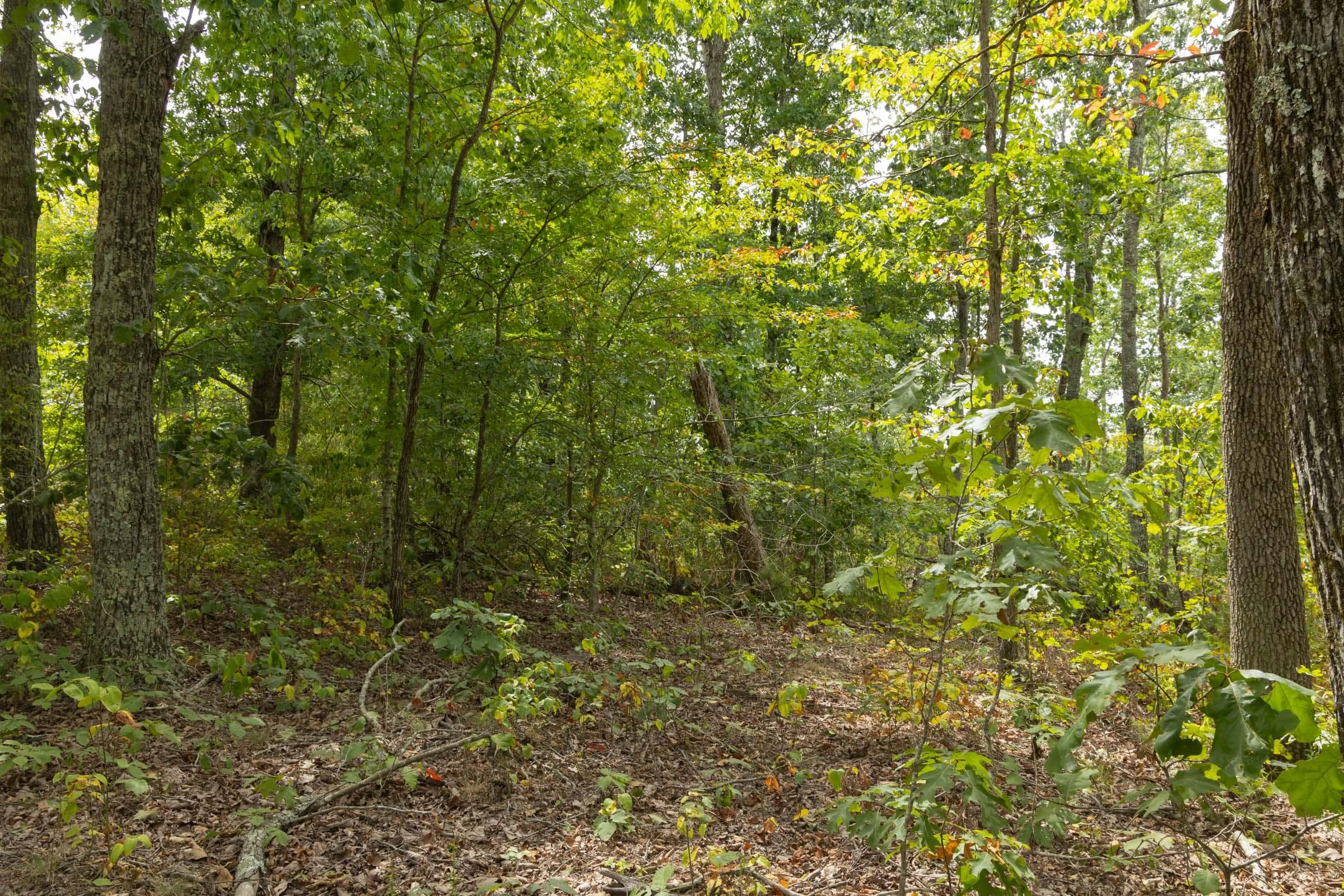 Property photo 54