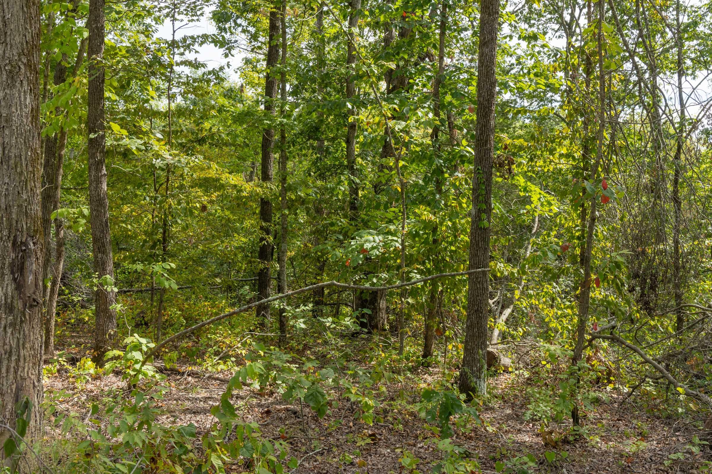 Property photo 47