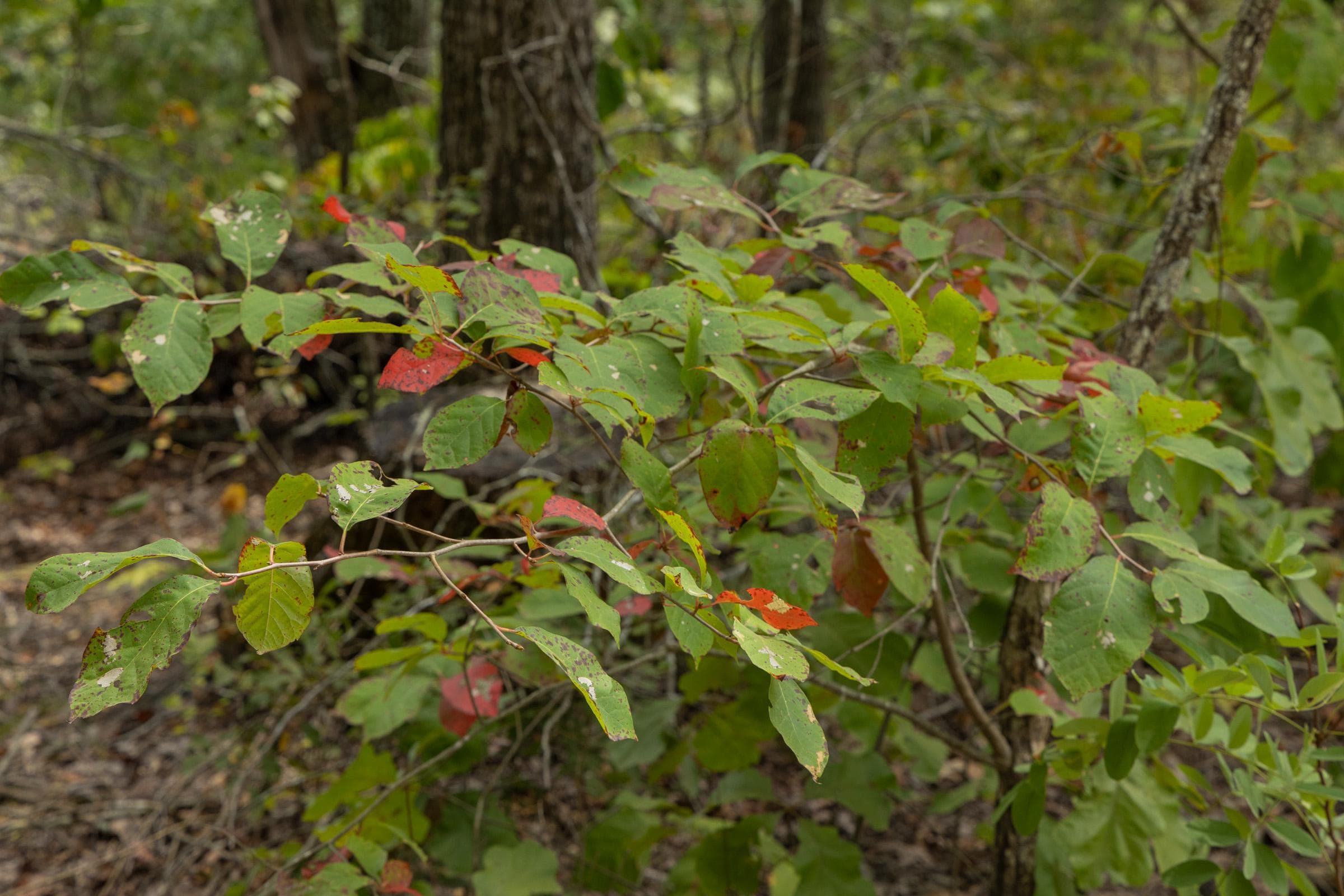 Property photo 41
