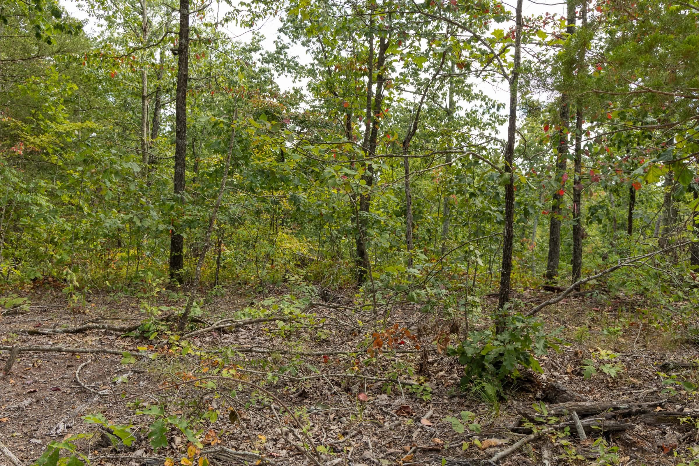 Property photo 43