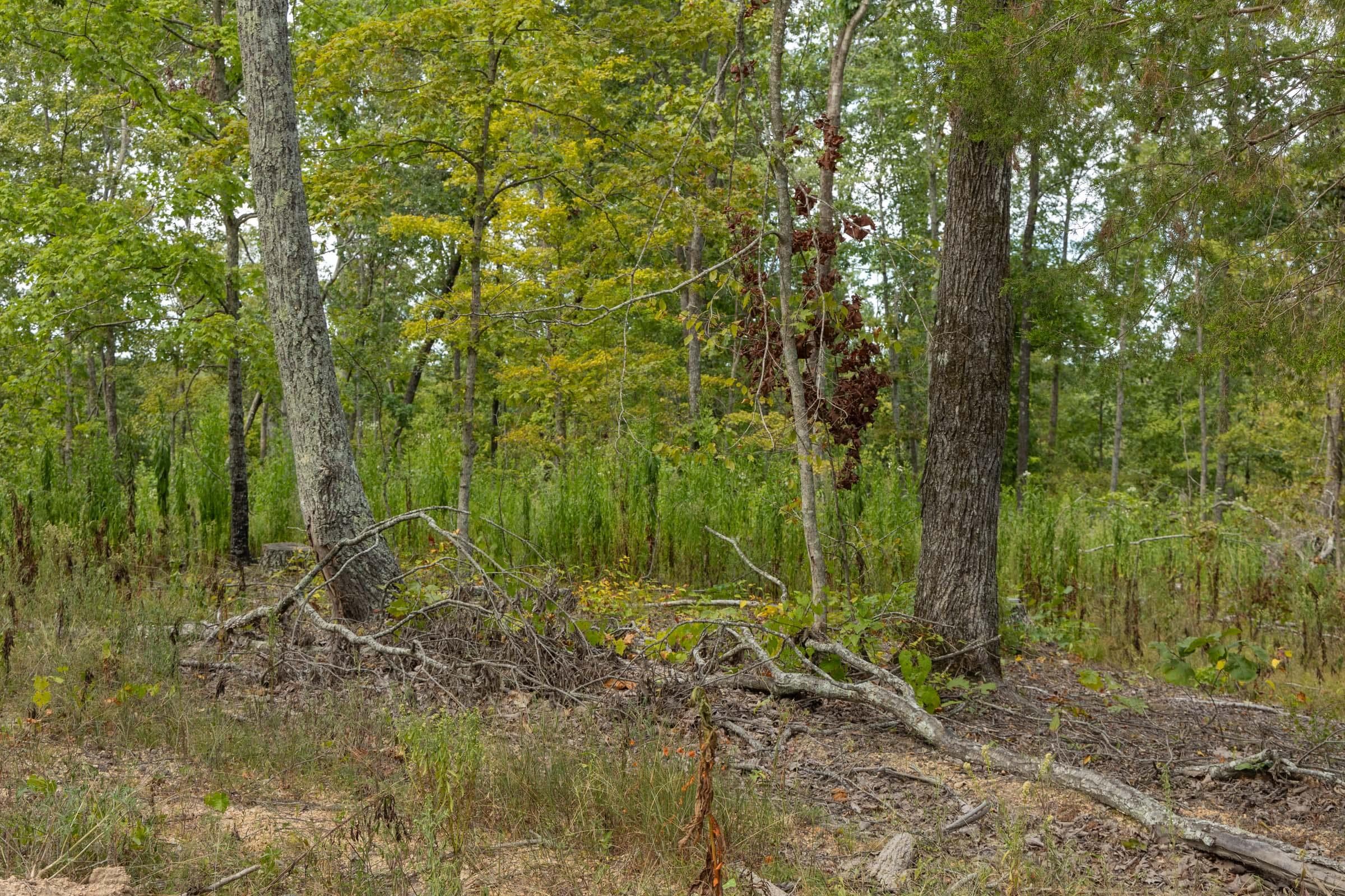 Property photo 42