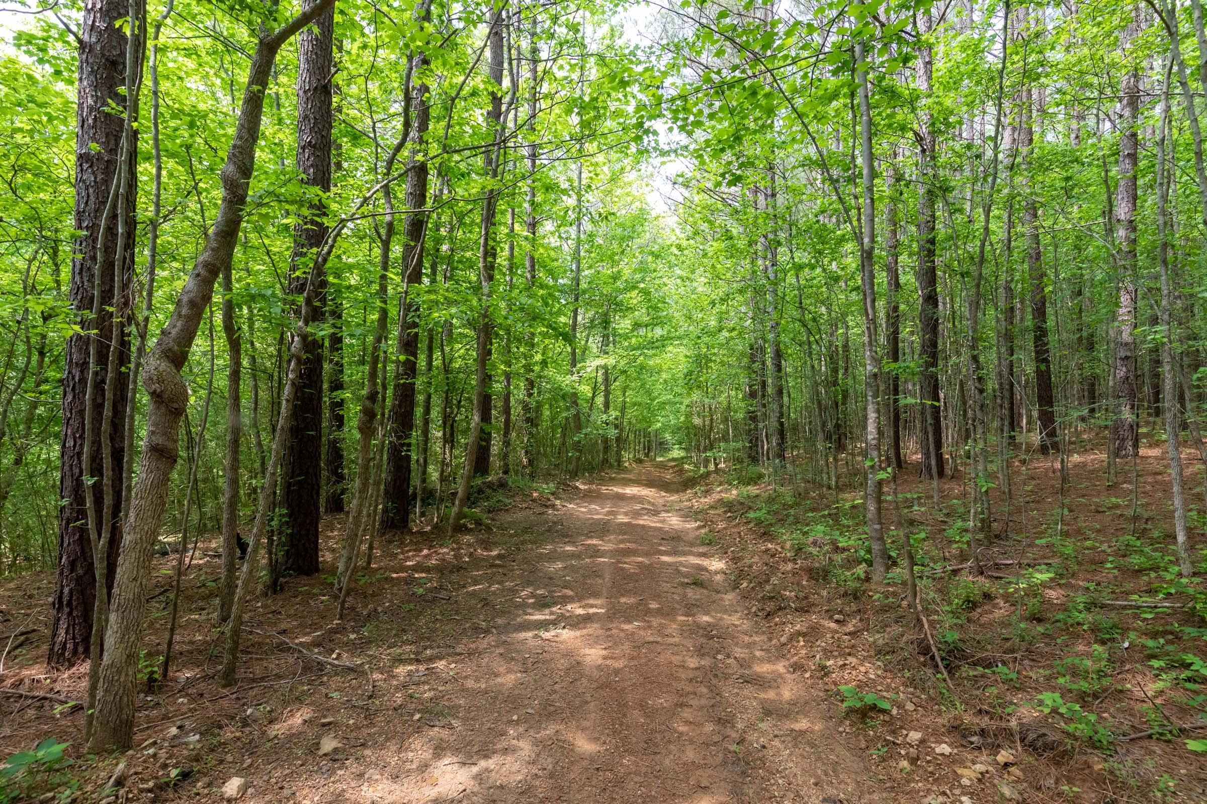 Cedar Creek — Zero Credit Land owner financed land for sale in Perry County, Tennessee photo 3