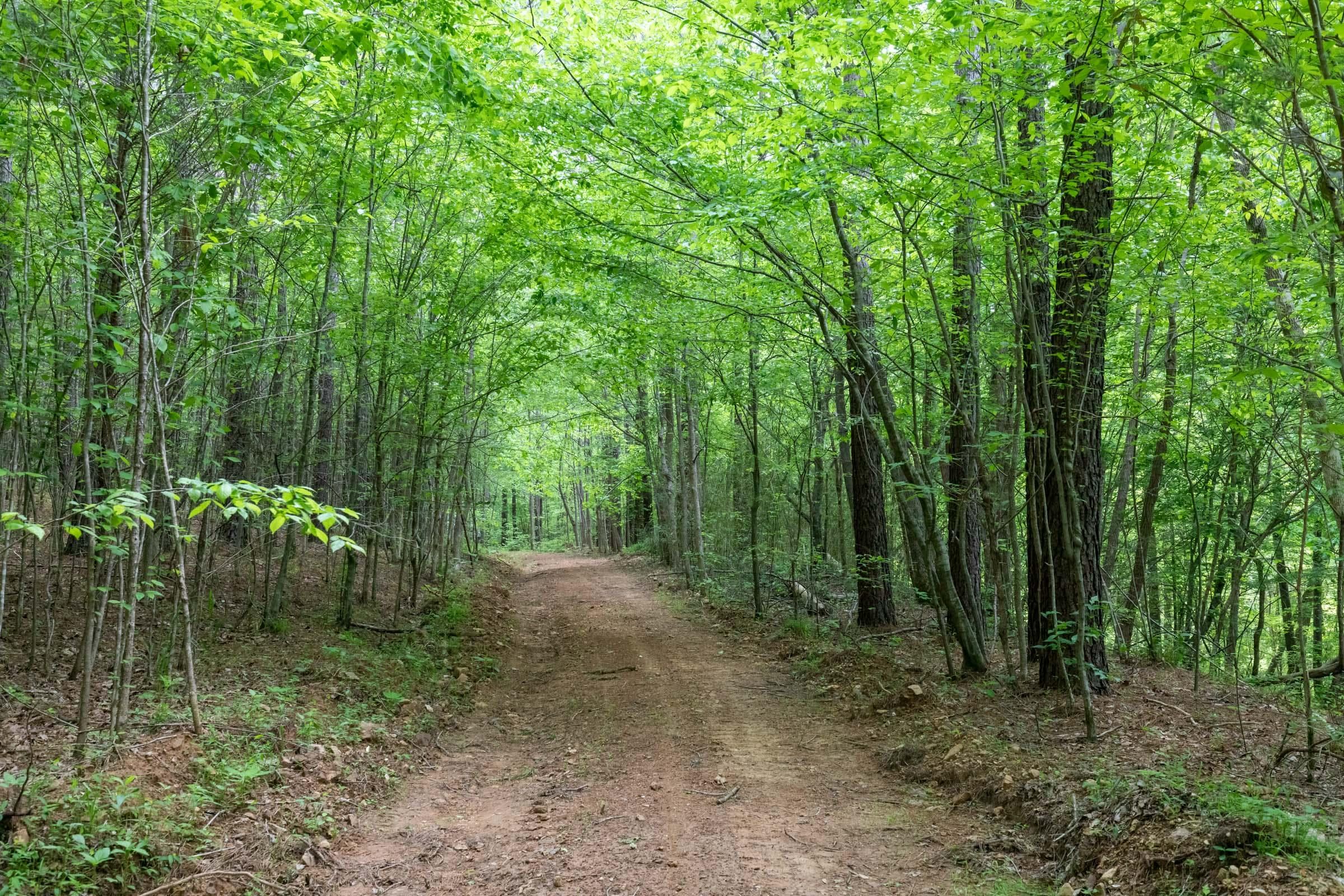 Cedar Creek — Zero Credit Land owner financed land for sale in Perry County, Tennessee