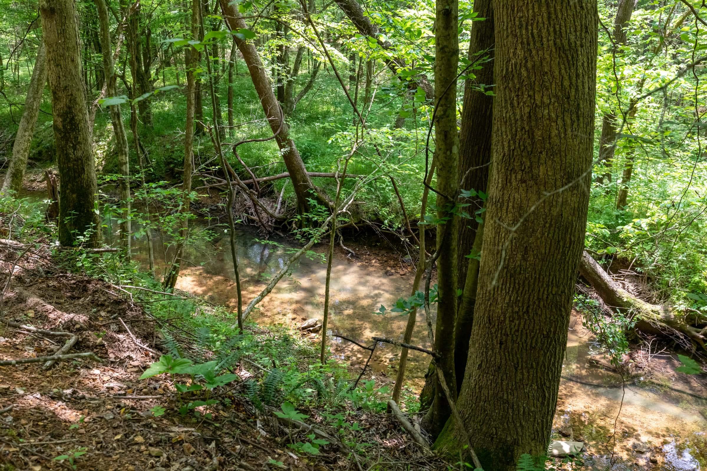 Cedar Creek — Zero Credit Land owner financed land for sale in Perry County, Tennessee photo 4