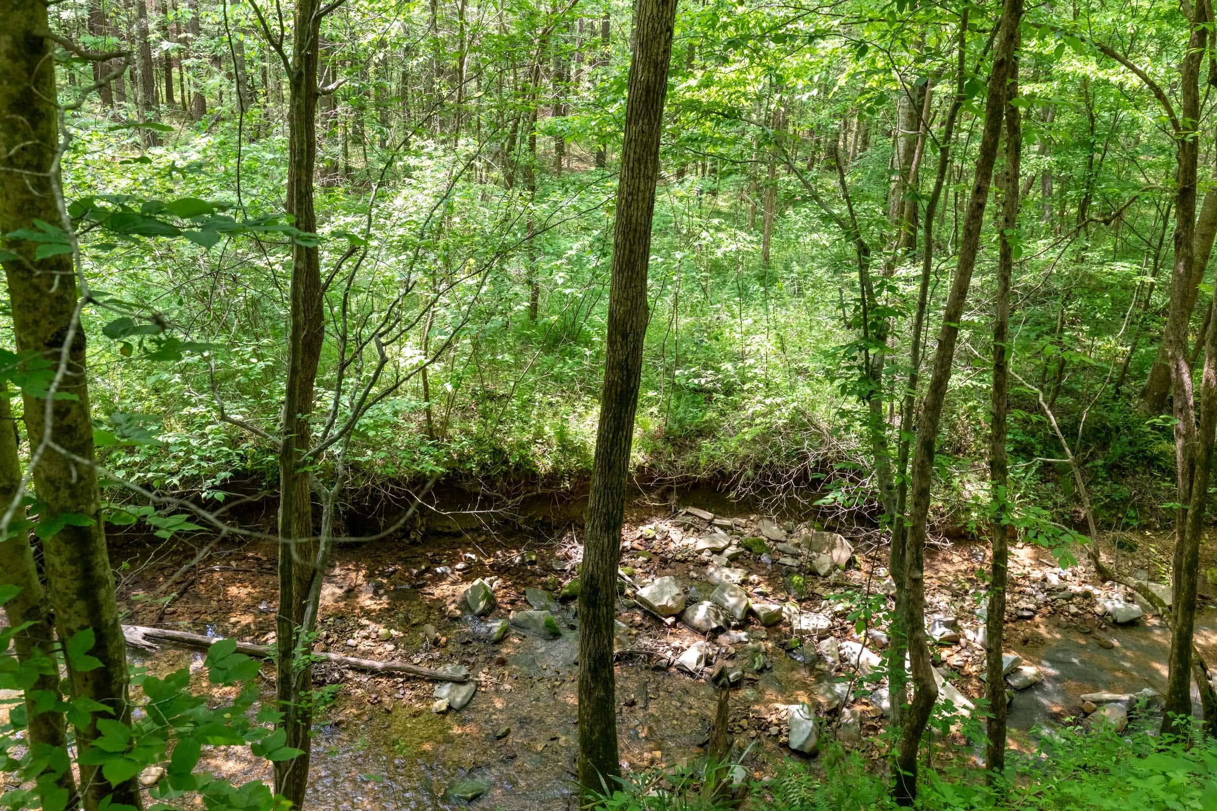 Cedar Creek — Zero Credit Land owner financed land for sale in Perry County, Tennessee photo 2