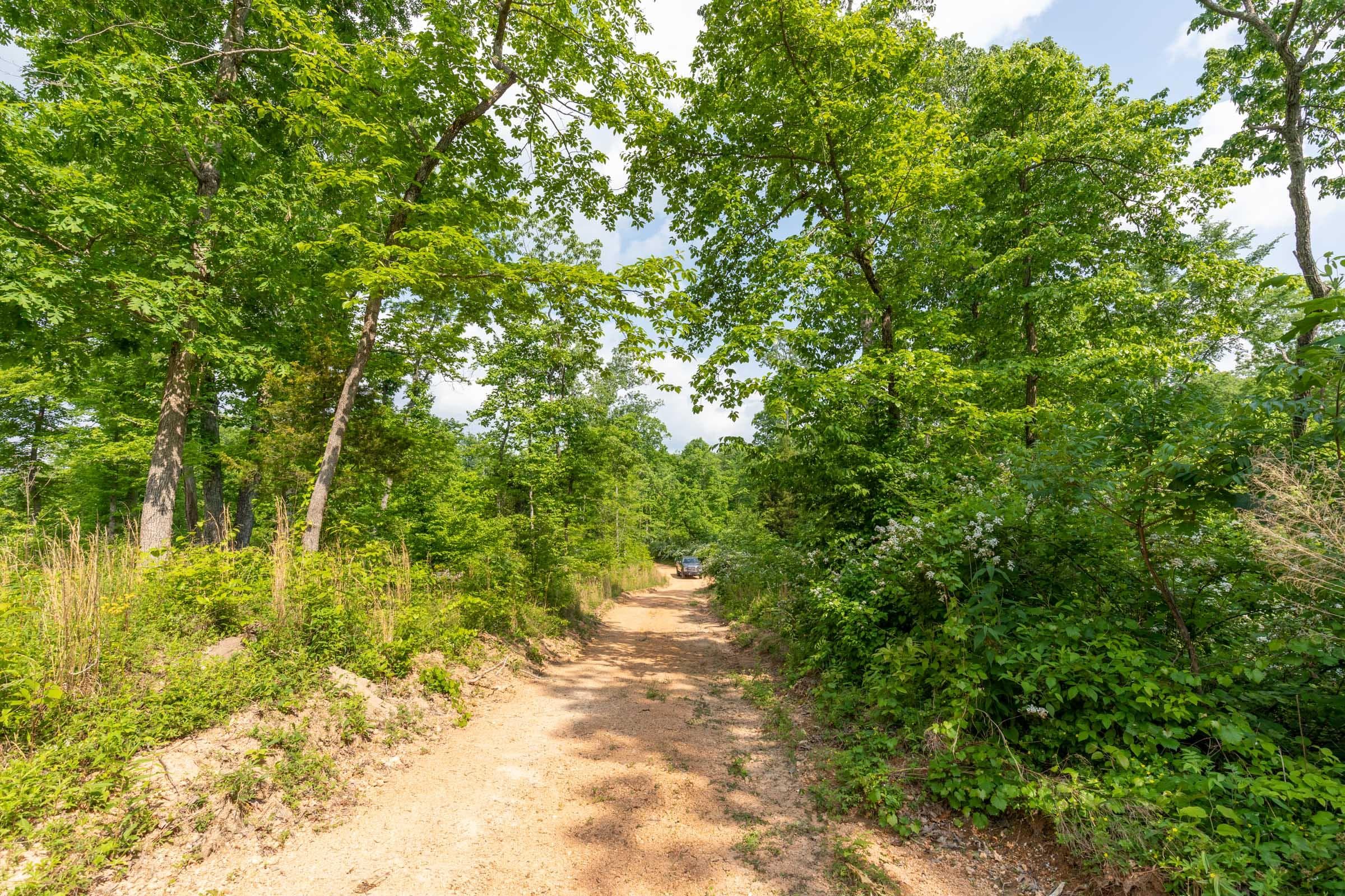 Cedar Creek — Zero Credit Land owner financed land for sale in Perry County, Tennessee photo 15