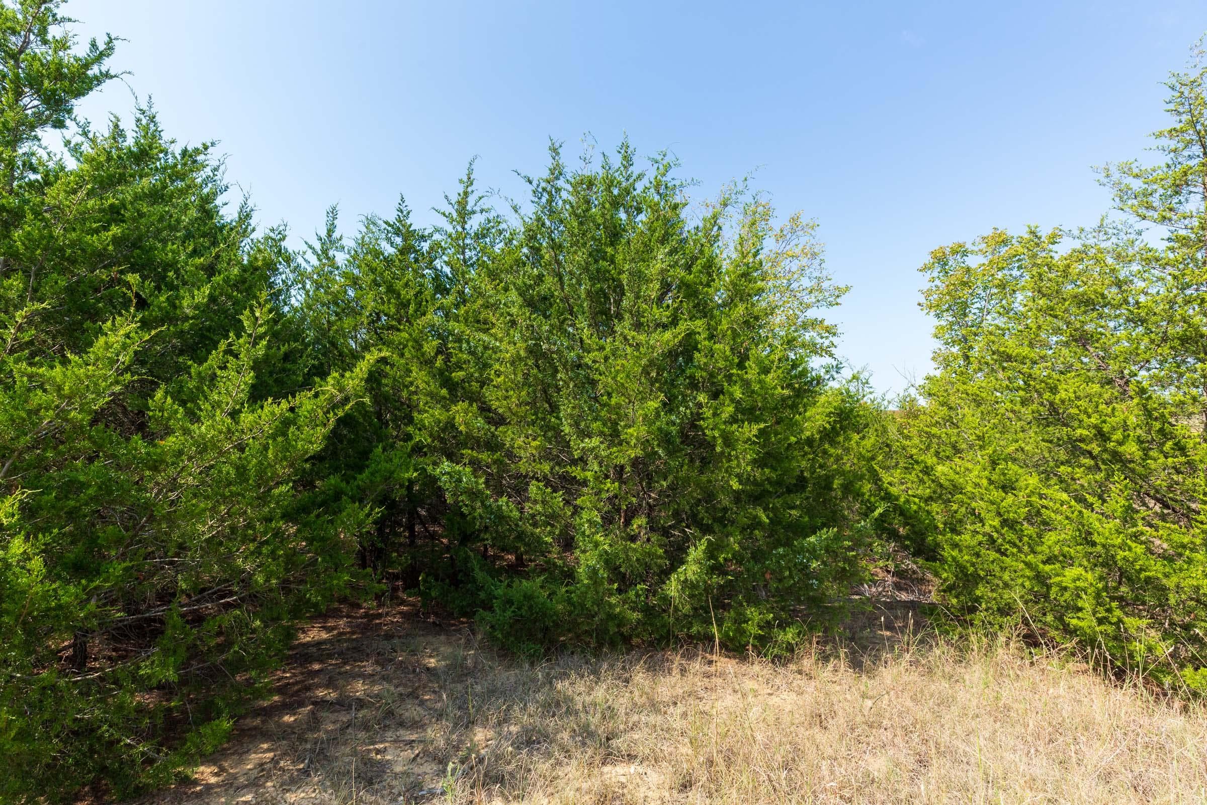 Canyon Creek — Zero Credit Land owner financed land for sale in Lincoln County, Oklahoma photo 18