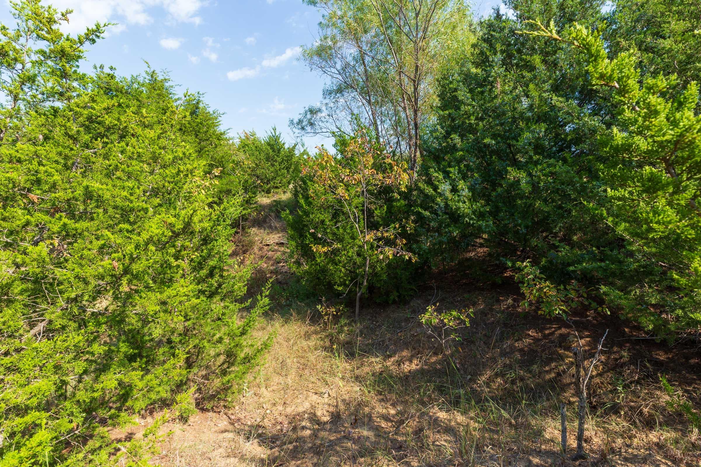 Canyon Creek — Zero Credit Land owner financed land for sale in Lincoln County, Oklahoma photo 14