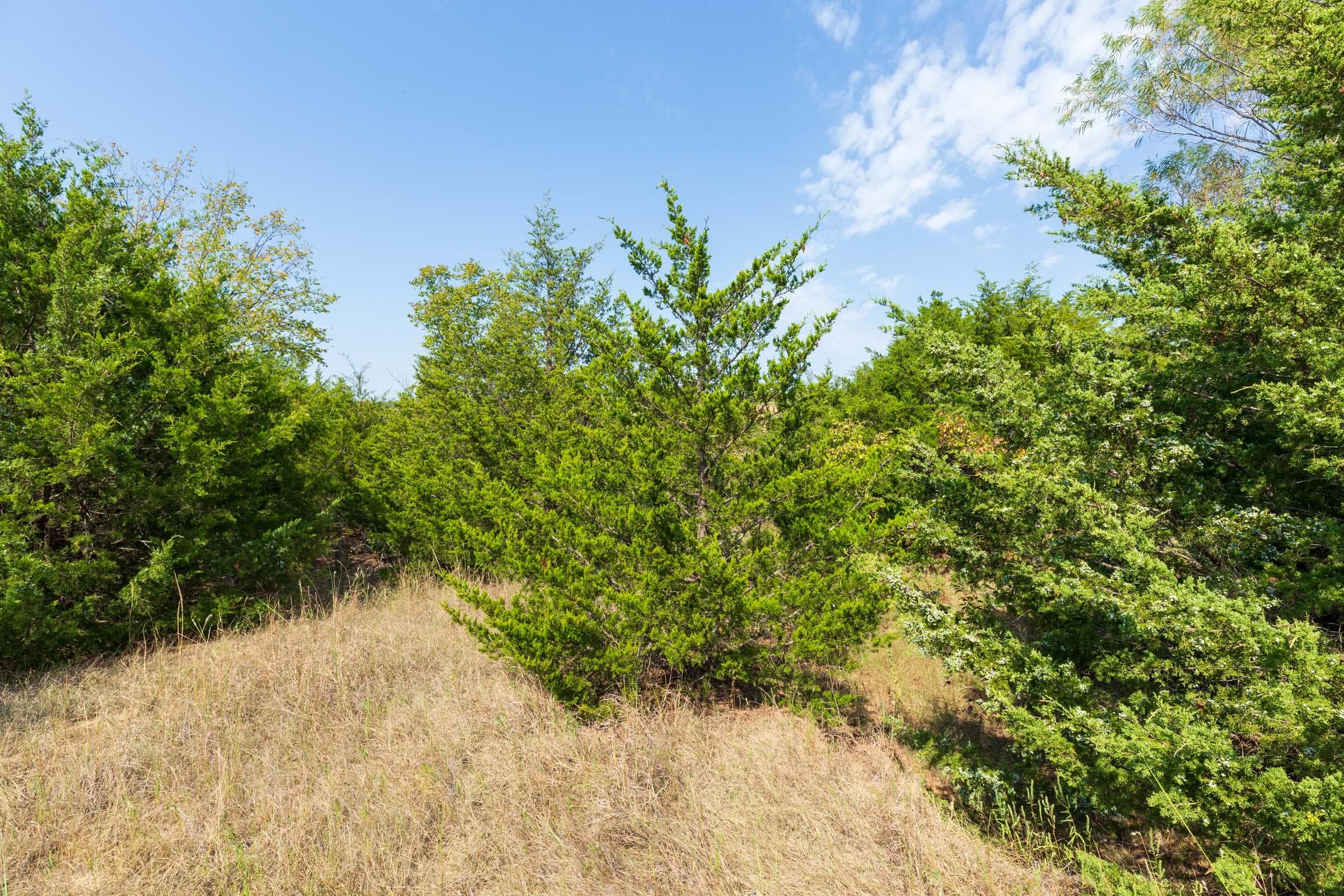 Canyon Creek — Zero Credit Land owner financed land for sale in Lincoln County, Oklahoma photo 17