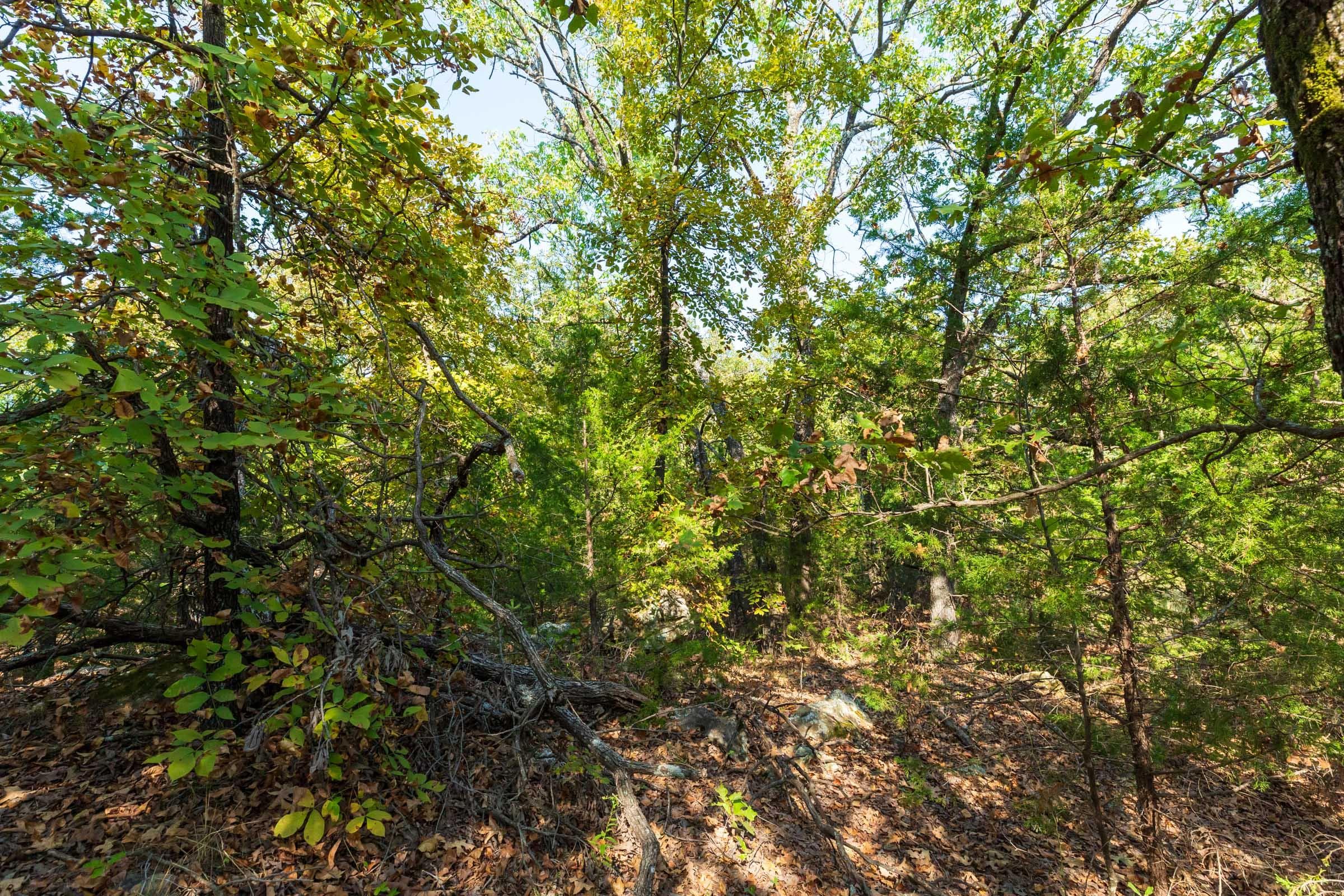 Canyon Creek — Zero Credit Land owner financed land for sale in Lincoln County, Oklahoma photo 11