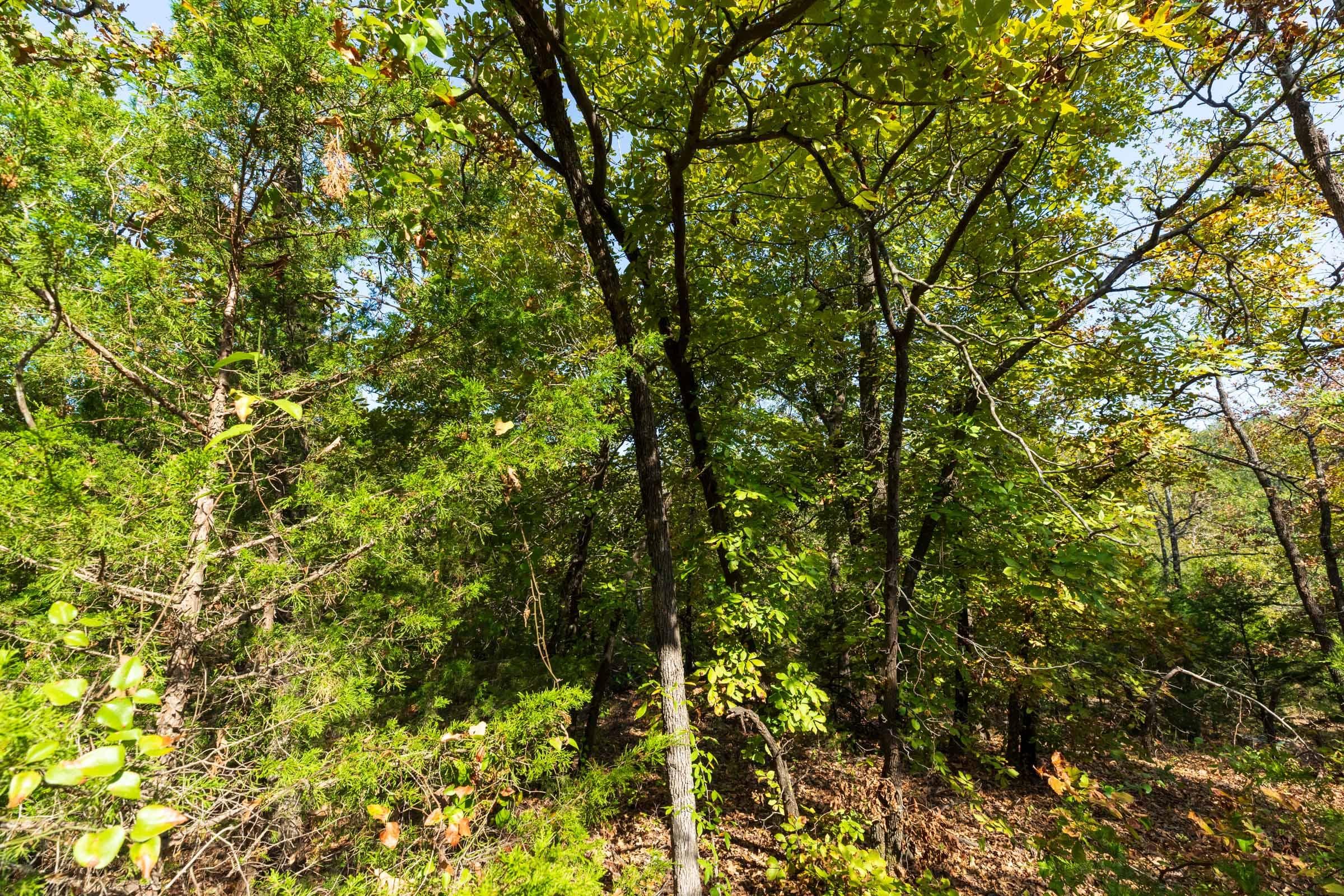 Canyon Creek — Zero Credit Land owner financed land for sale in Lincoln County, Oklahoma photo 12