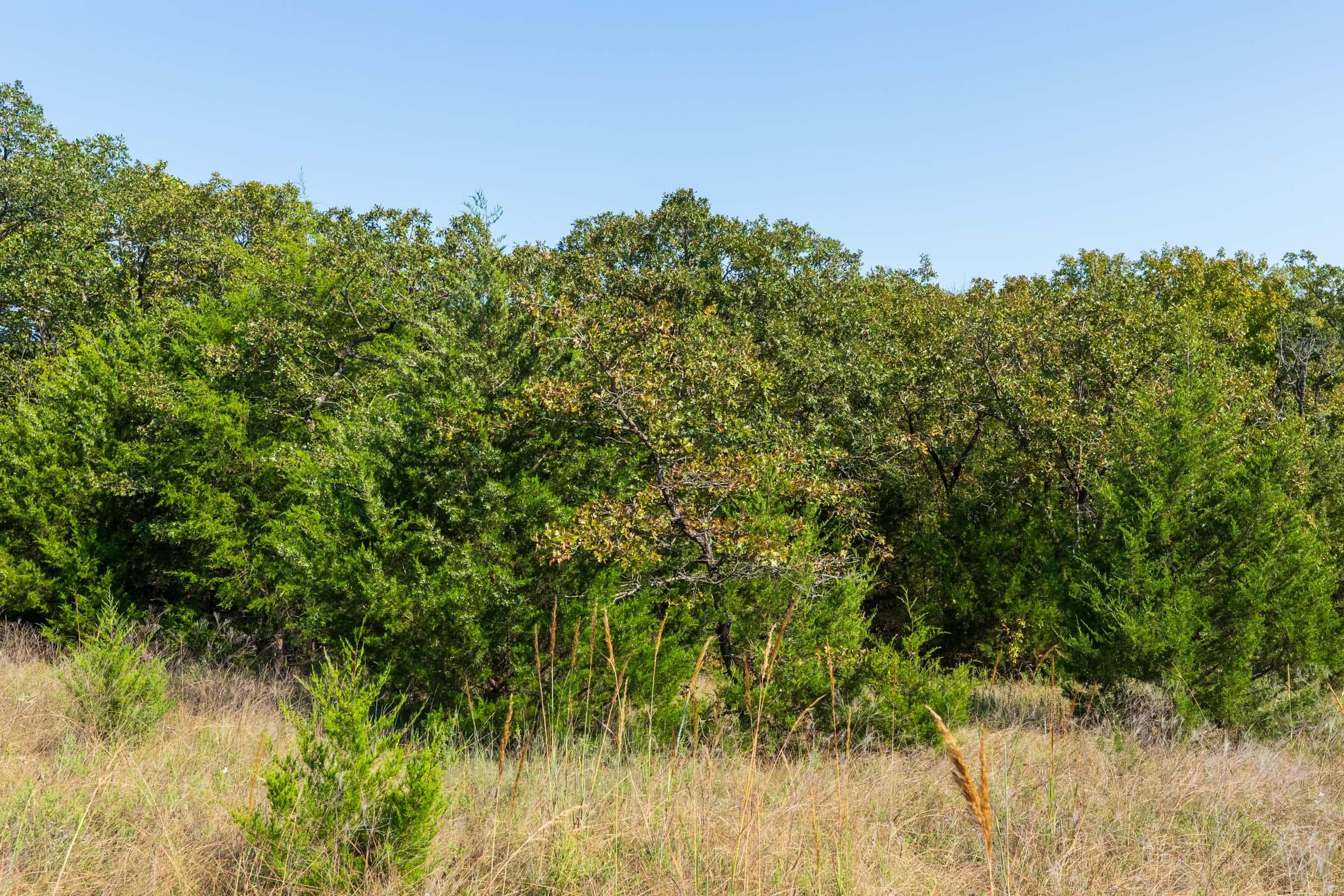 Canyon Creek — Zero Credit Land owner financed land for sale in Lincoln County, Oklahoma photo 10