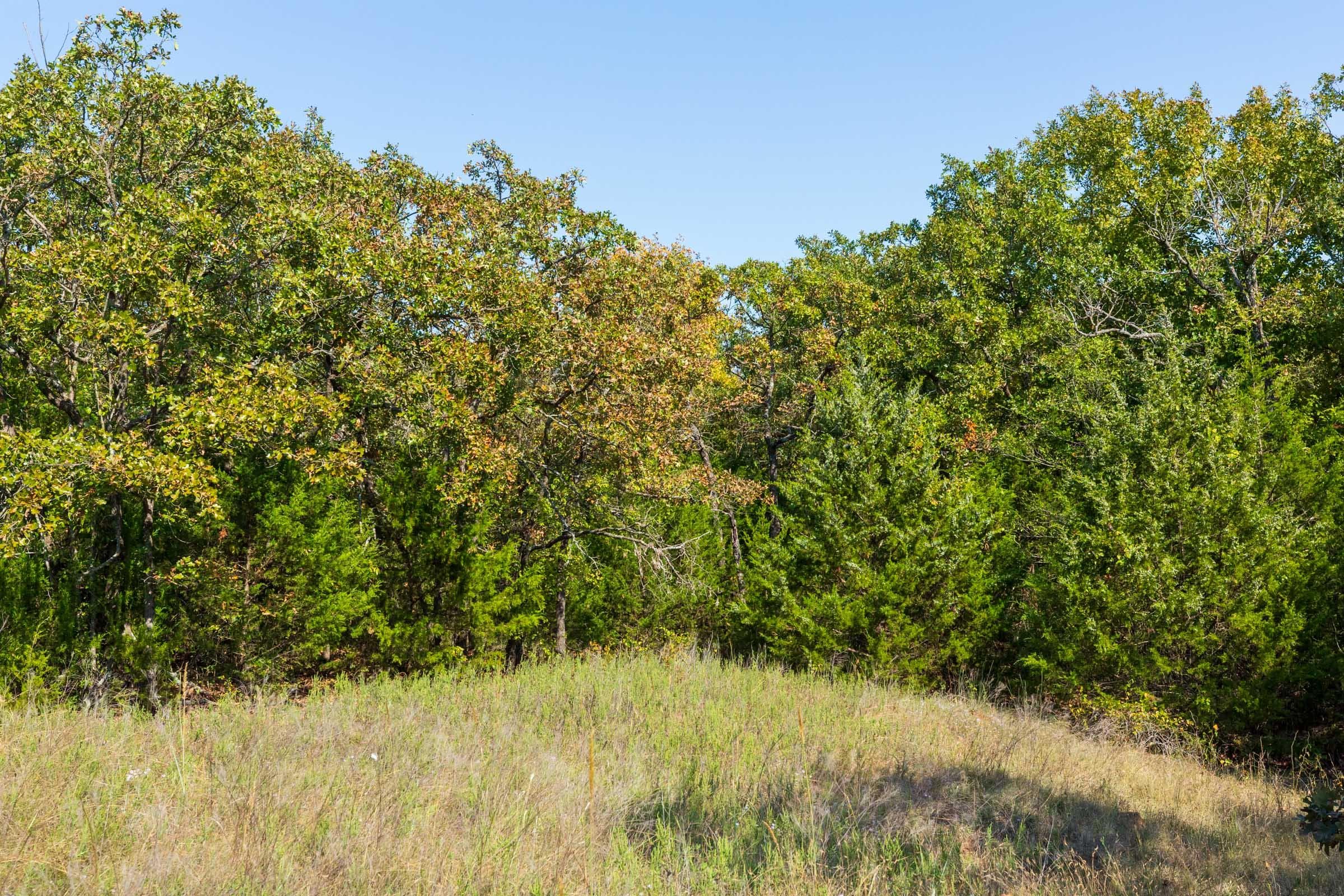Canyon Creek — Zero Credit Land owner financed land for sale in Lincoln County, Oklahoma photo 9