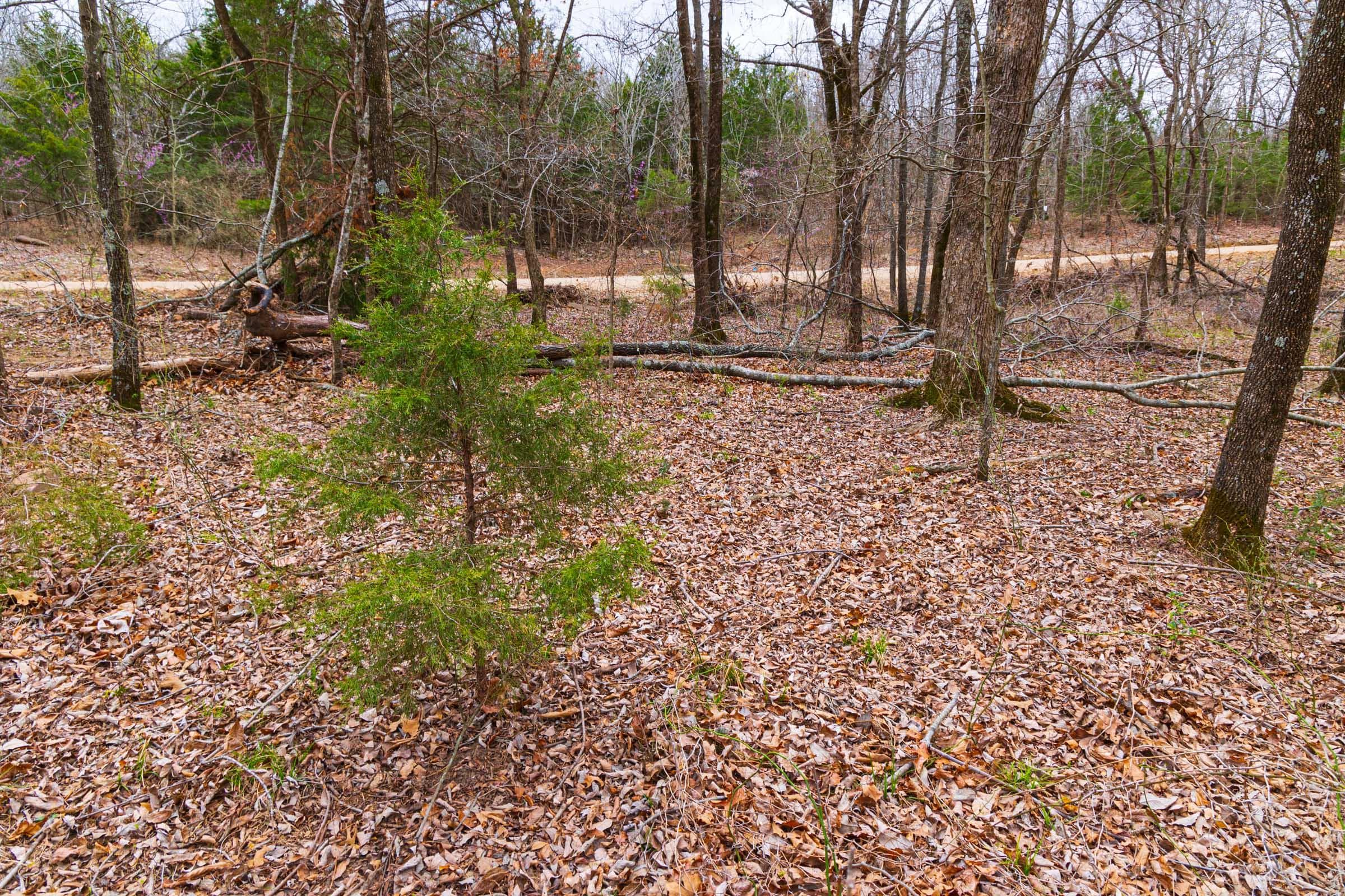 Reserves At Cattail Cove Phase I — Zero Credit Land owner financed land for sale in Pittsburg County, Oklahoma photo 10