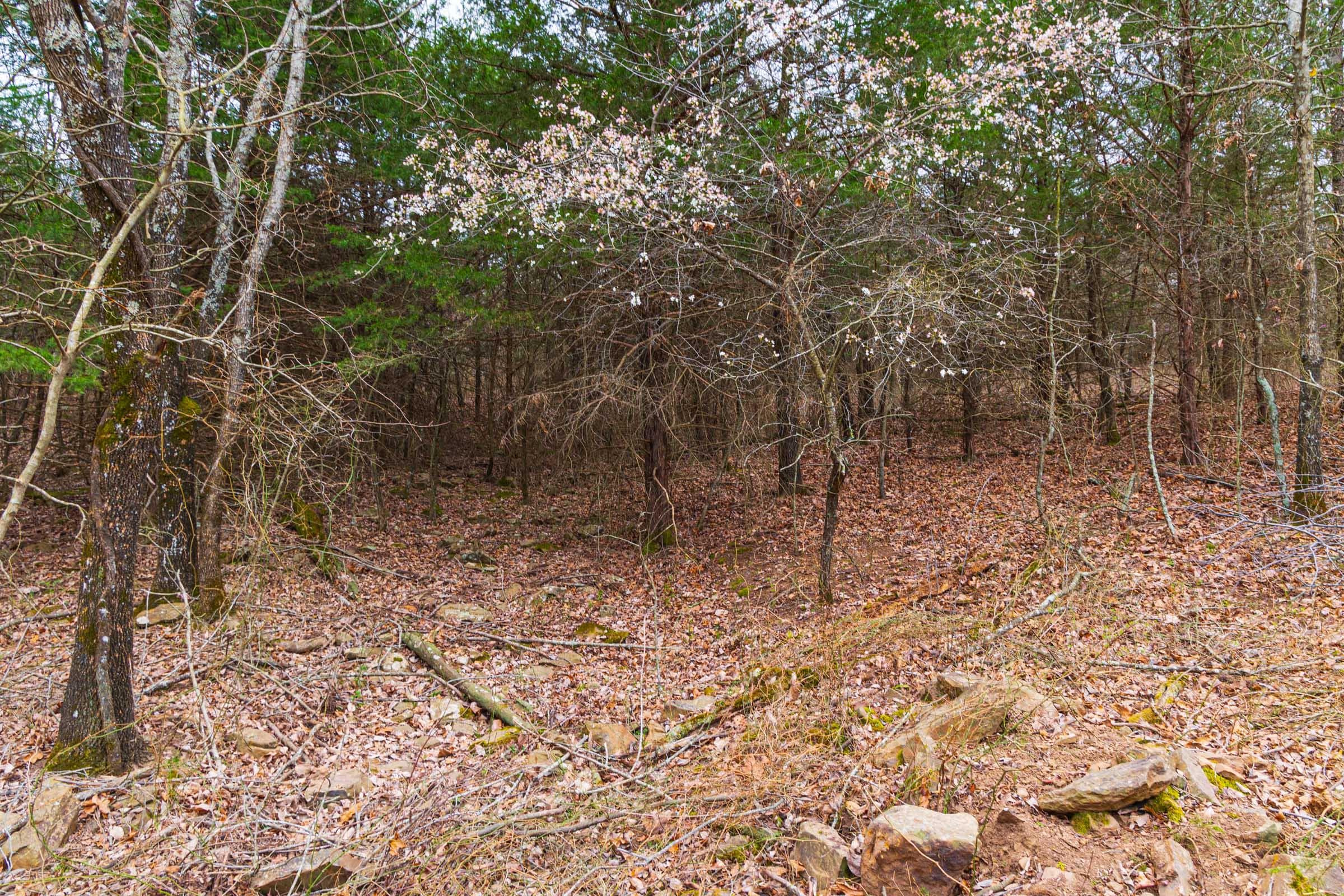 Reserves At Cattail Cove Phase I — Zero Credit Land owner financed land for sale in Pittsburg County, Oklahoma photo 12