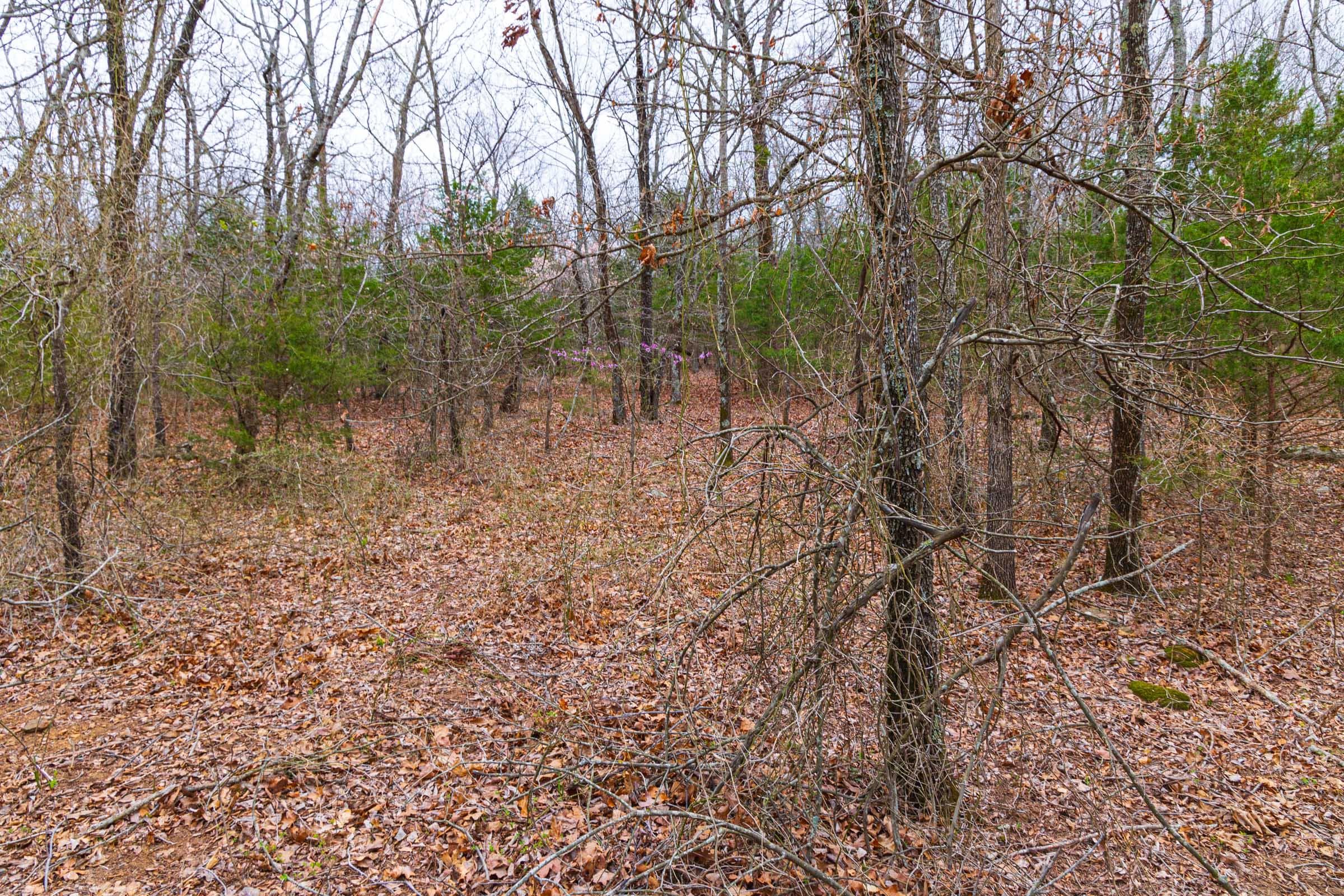 Reserves At Cattail Cove Phase I — Zero Credit Land owner financed land for sale in Pittsburg County, Oklahoma photo 11