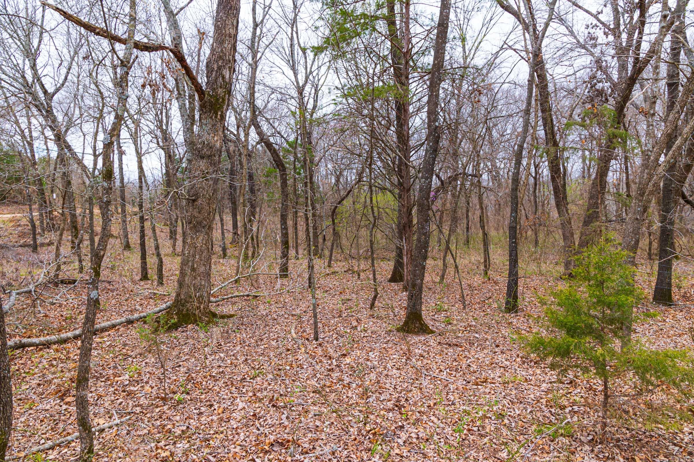 Reserves At Cattail Cove Phase I — Zero Credit Land owner financed land for sale in Pittsburg County, Oklahoma photo 13