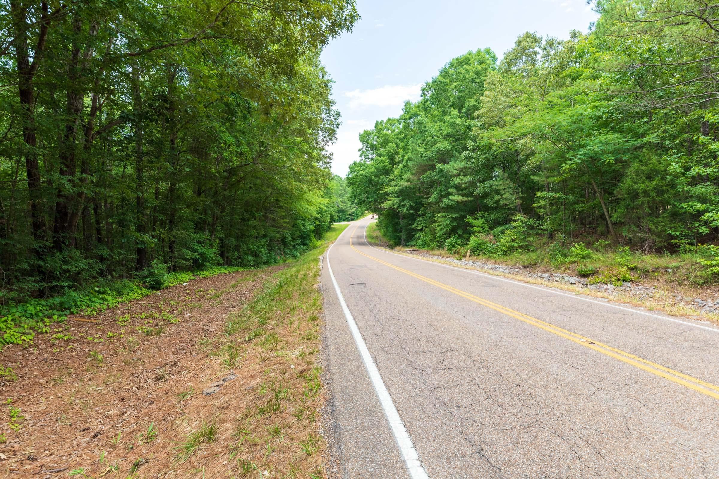 Whiskey Ridge — Zero Credit Land owner financed land for sale in Henderson County, Tennessee photo 42