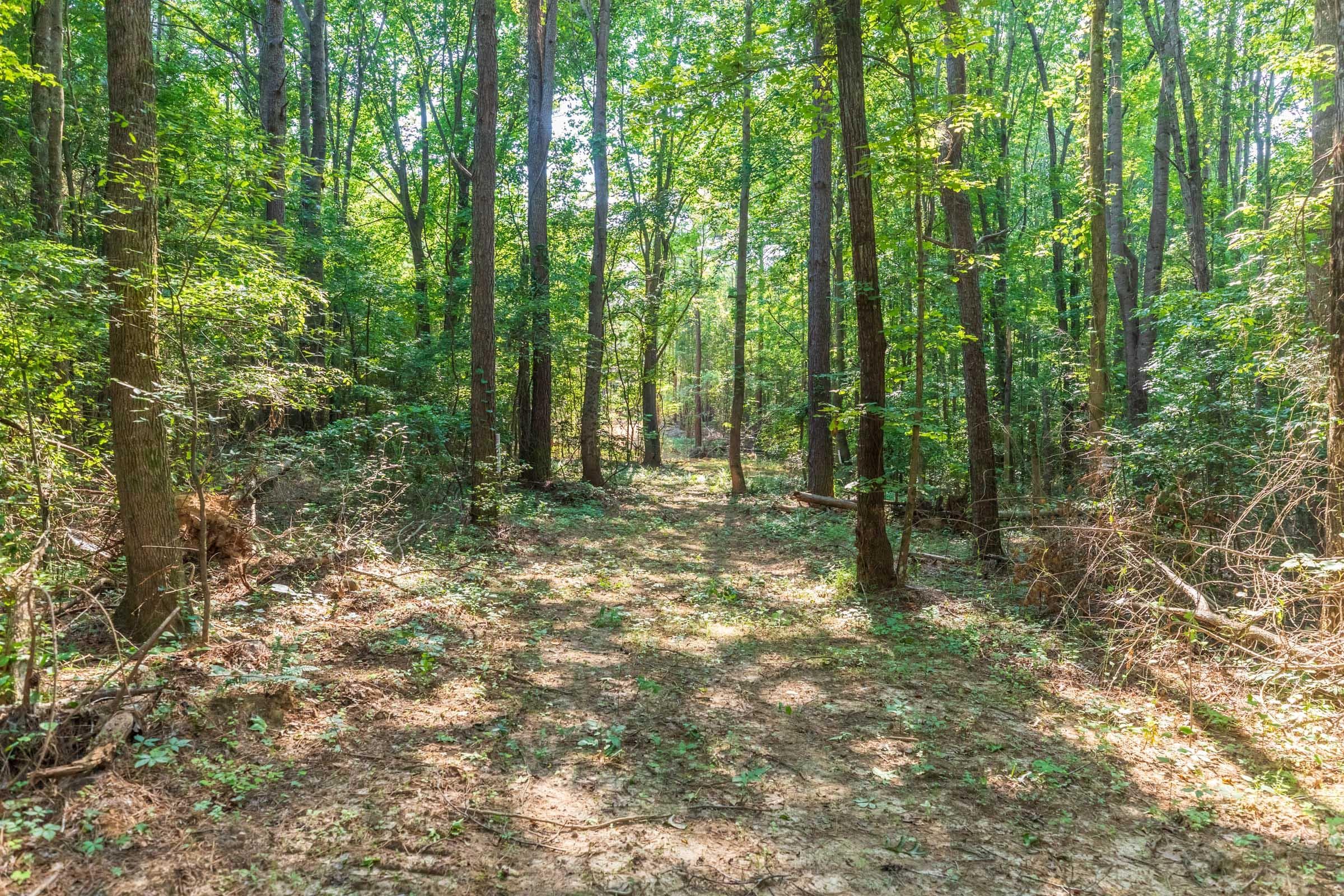 Whiskey Ridge — Zero Credit Land owner financed land for sale in Henderson County, Tennessee photo 36