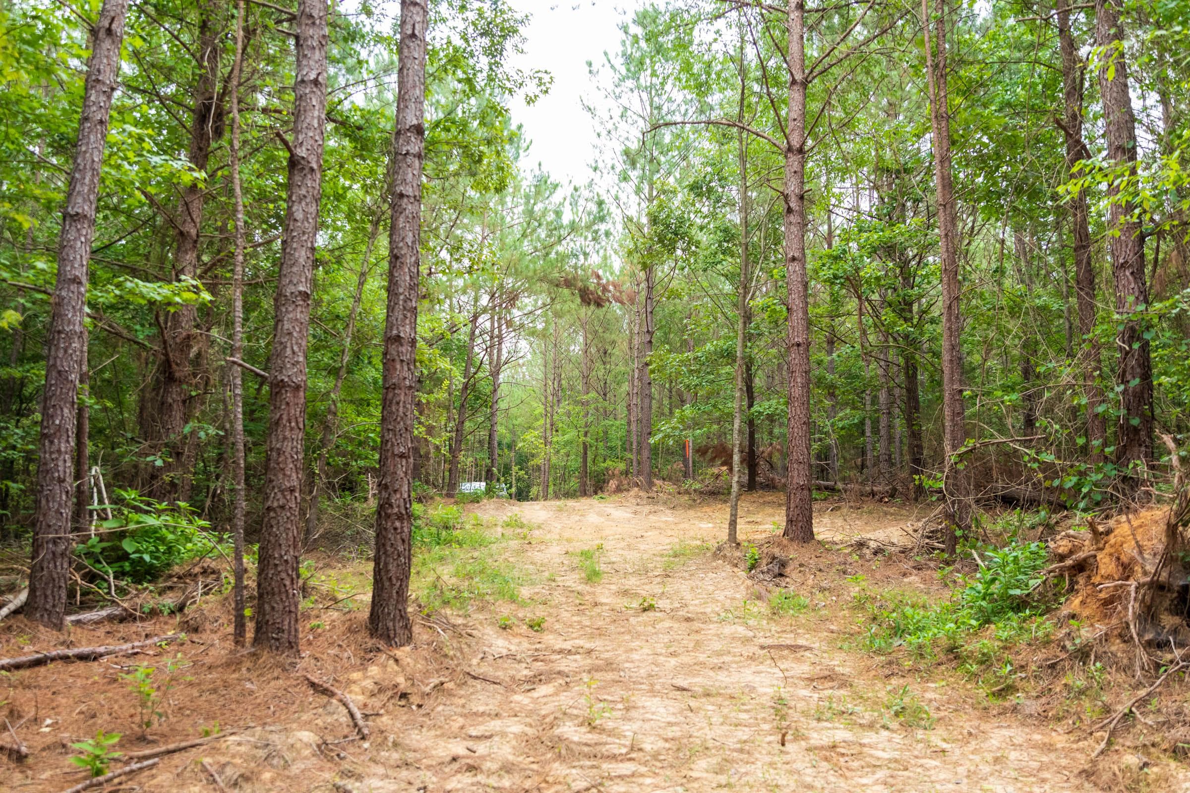 Whiskey Ridge — Zero Credit Land owner financed land for sale in Henderson County, Tennessee photo 29