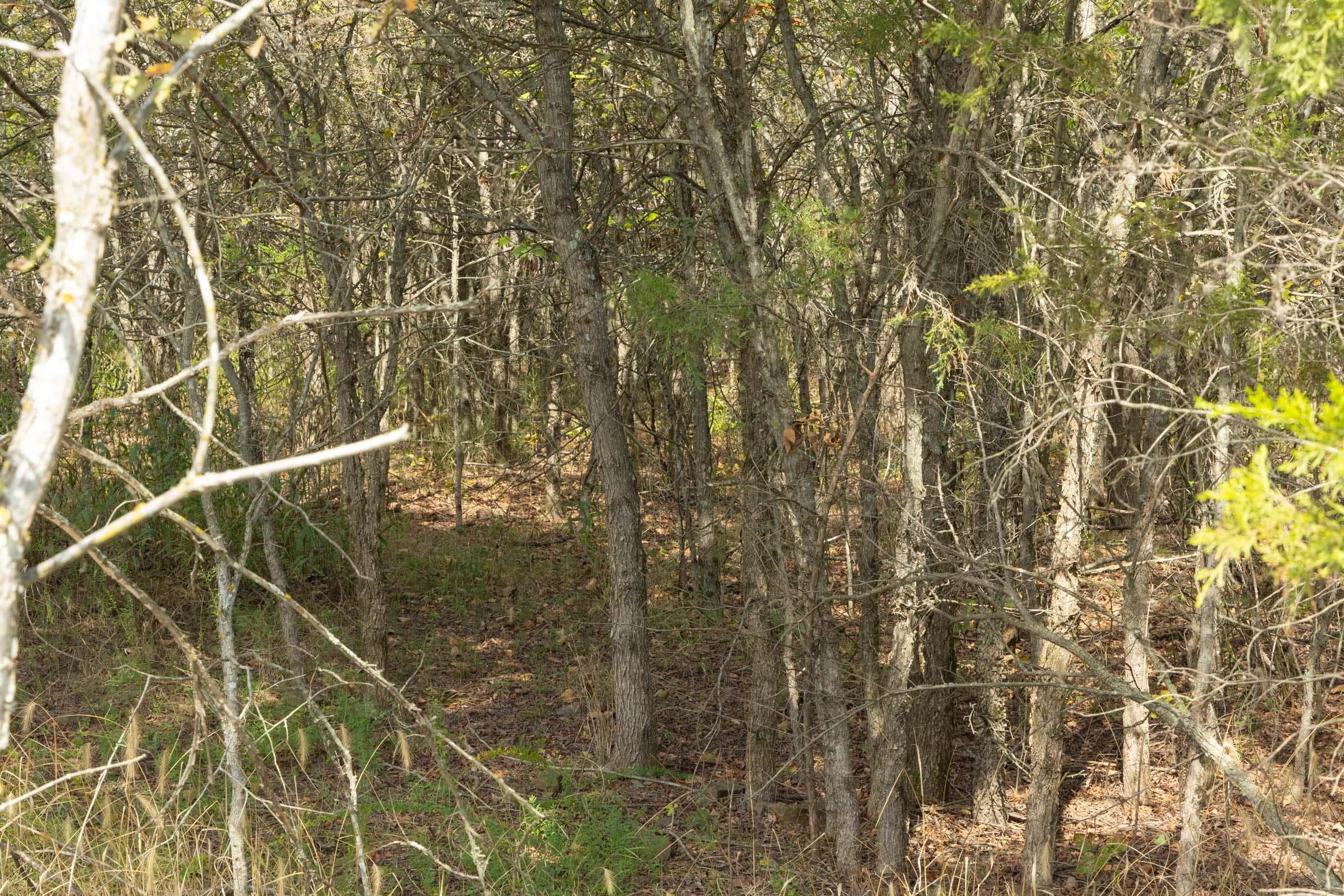  Reserves At Cattail Cove Phase II — Zero Credit Land owner financed land for sale in Pittsburg County, Oklahoma photo 15