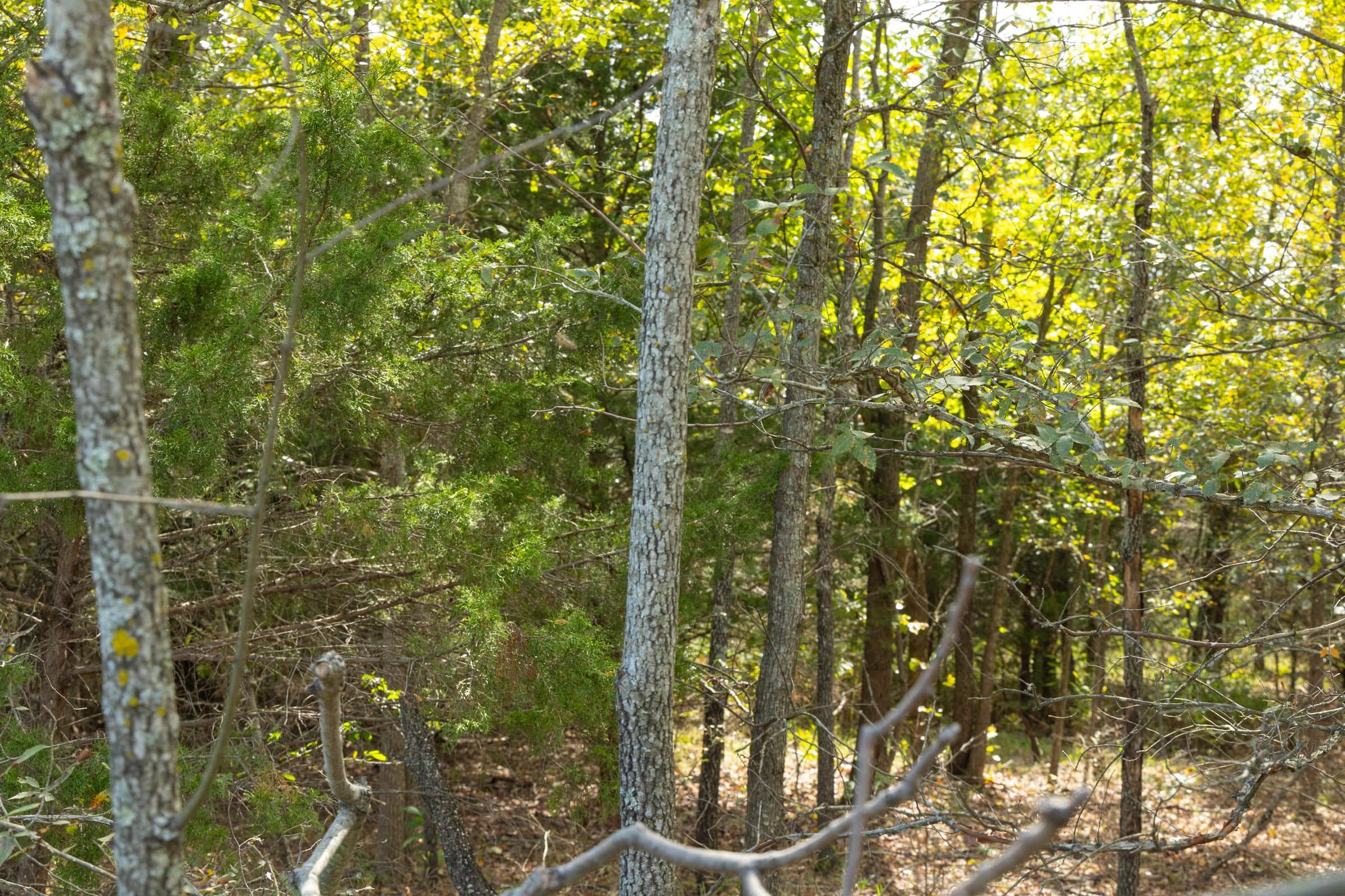  Reserves At Cattail Cove Phase II — Zero Credit Land owner financed land for sale in Pittsburg County, Oklahoma photo 11