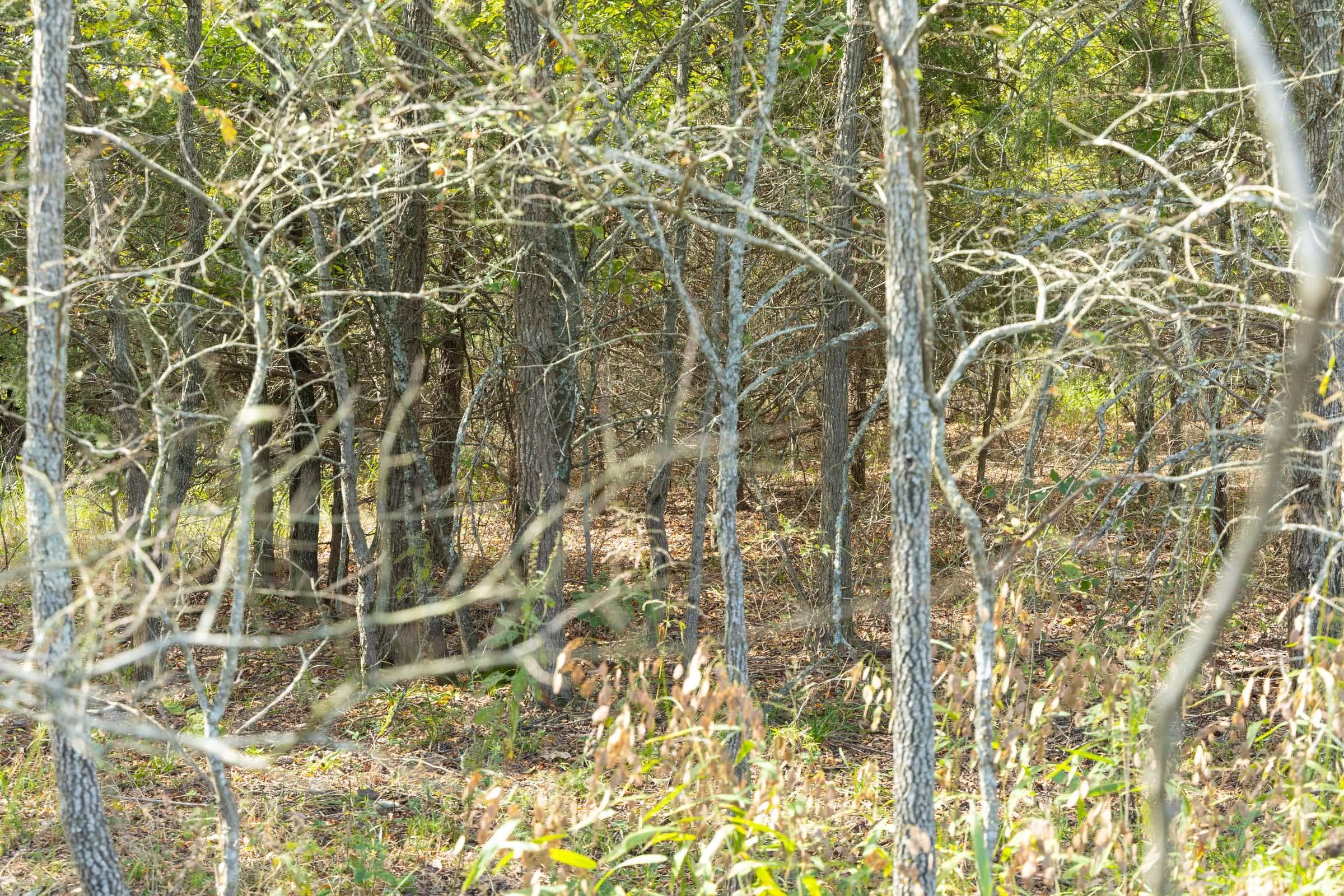  Reserves At Cattail Cove Phase II — Zero Credit Land owner financed land for sale in Pittsburg County, Oklahoma photo 9