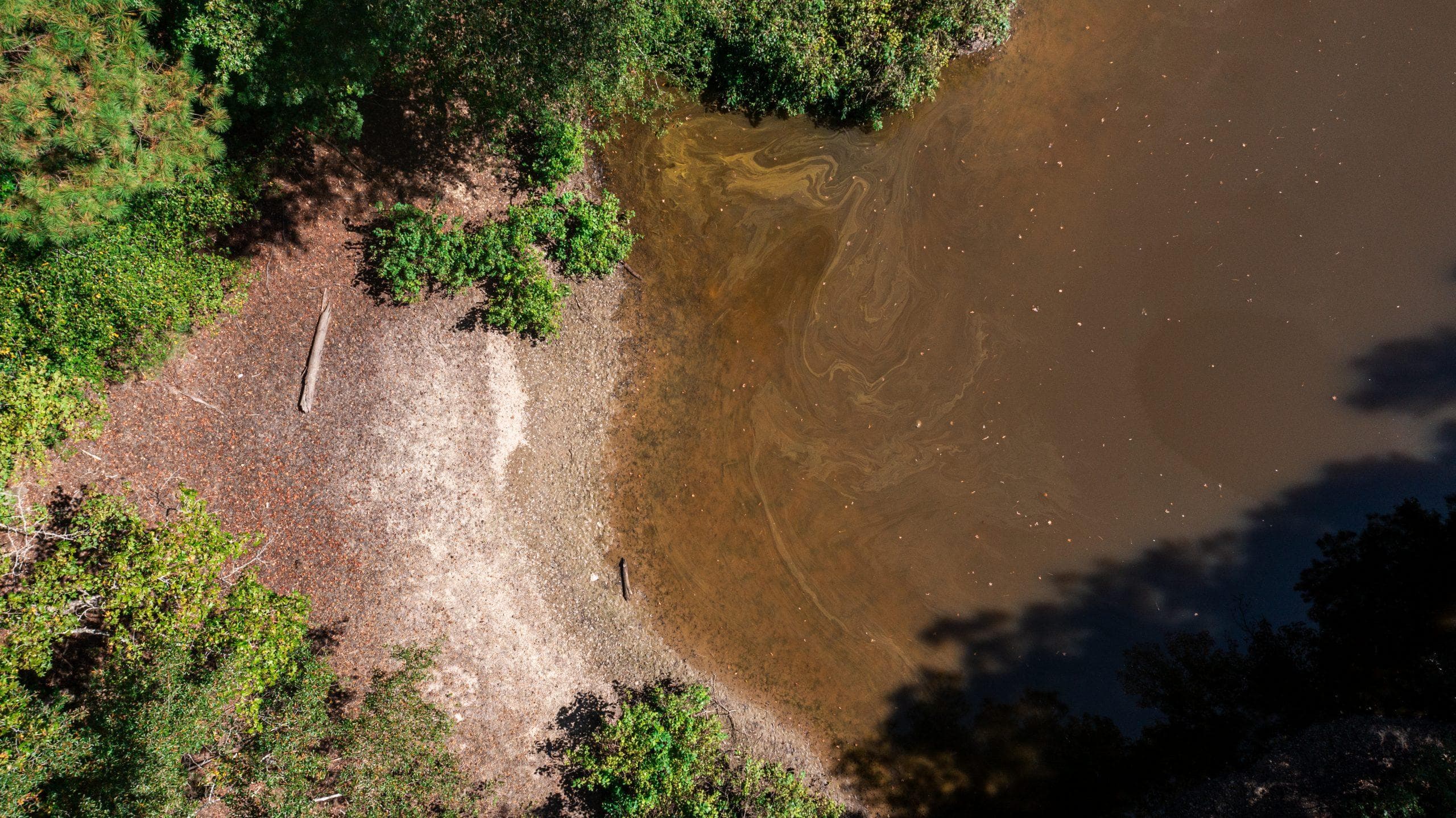 Willow Grove — Zero Credit Land owner financed land for sale in Lamar County, Alabama photo 11
