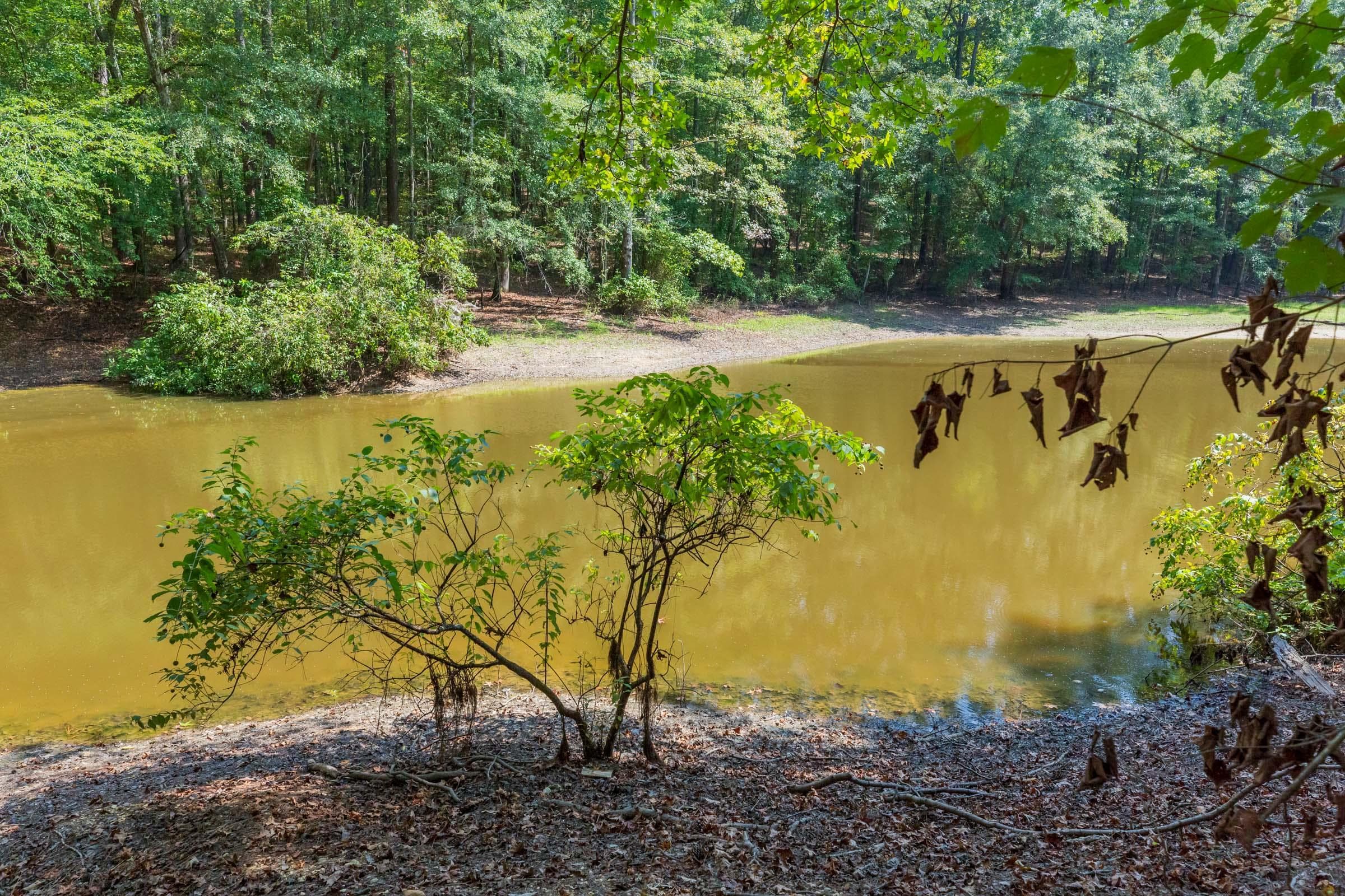 Willow Grove — Zero Credit Land owner financed land for sale in Lamar County, Alabama photo 15