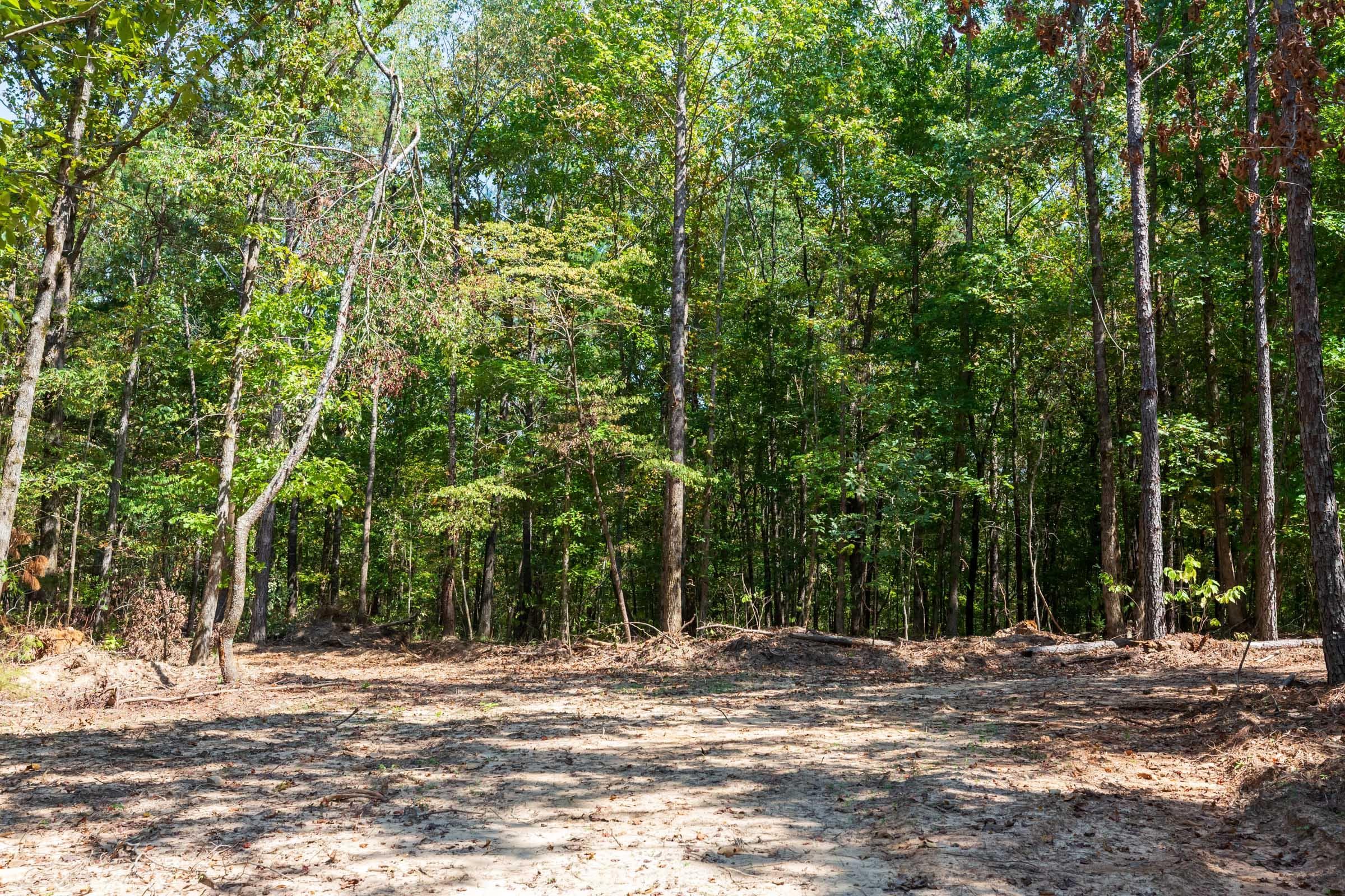 Willow Grove — Zero Credit Land owner financed land for sale in Lamar County, Alabama photo 13