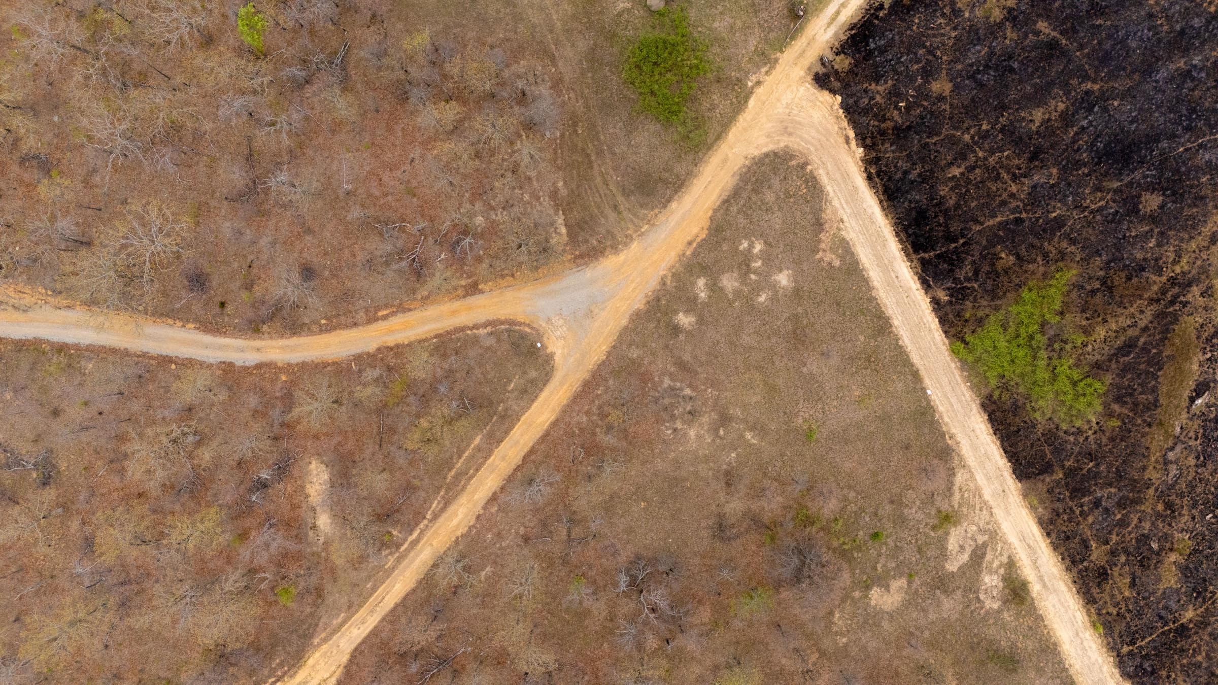 JLH Estates — Zero Credit Land owner financed land for sale in Okfuskee County, Oklahoma photo 88