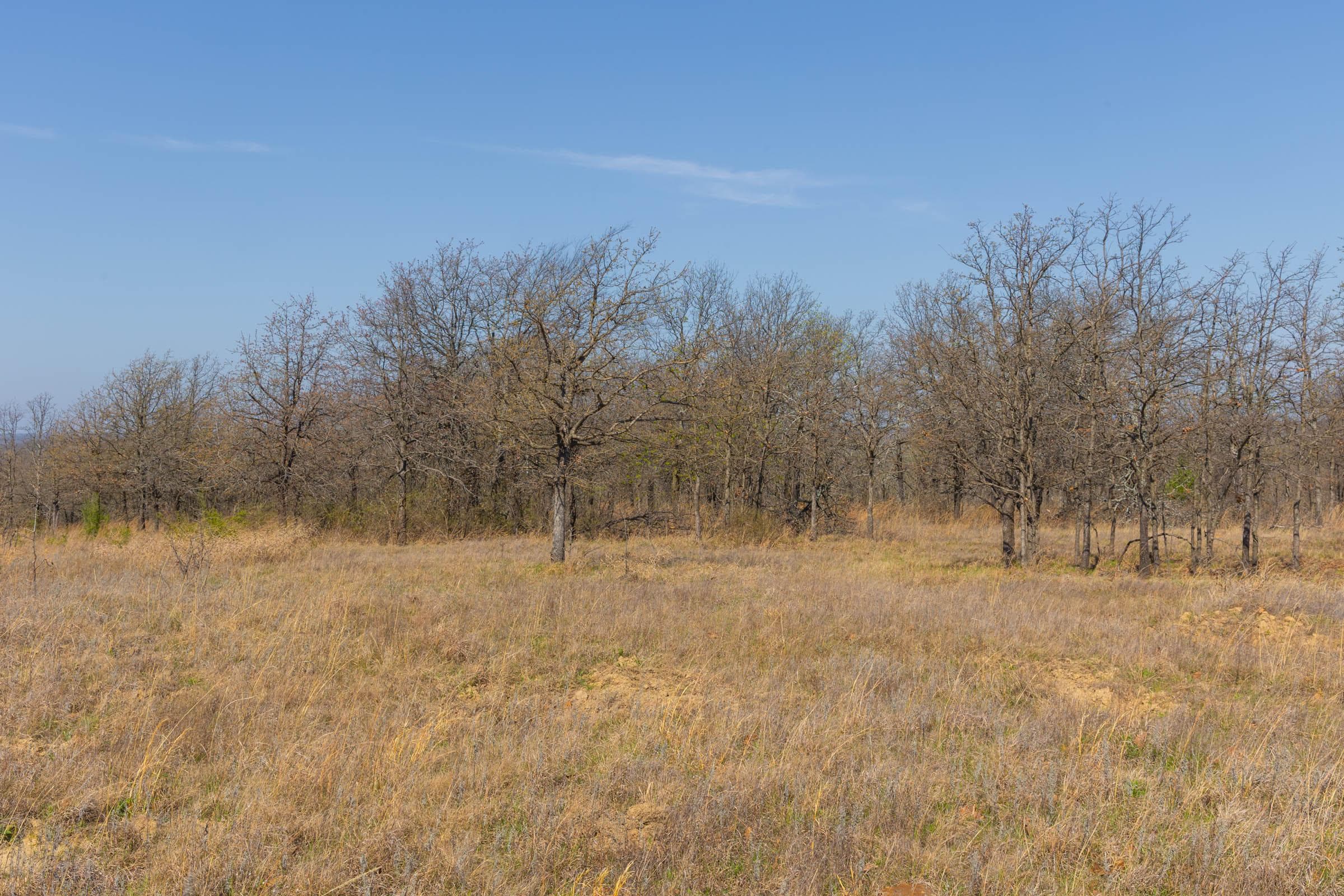 JLH Estates — Zero Credit Land owner financed land for sale in Okfuskee County, Oklahoma photo 89