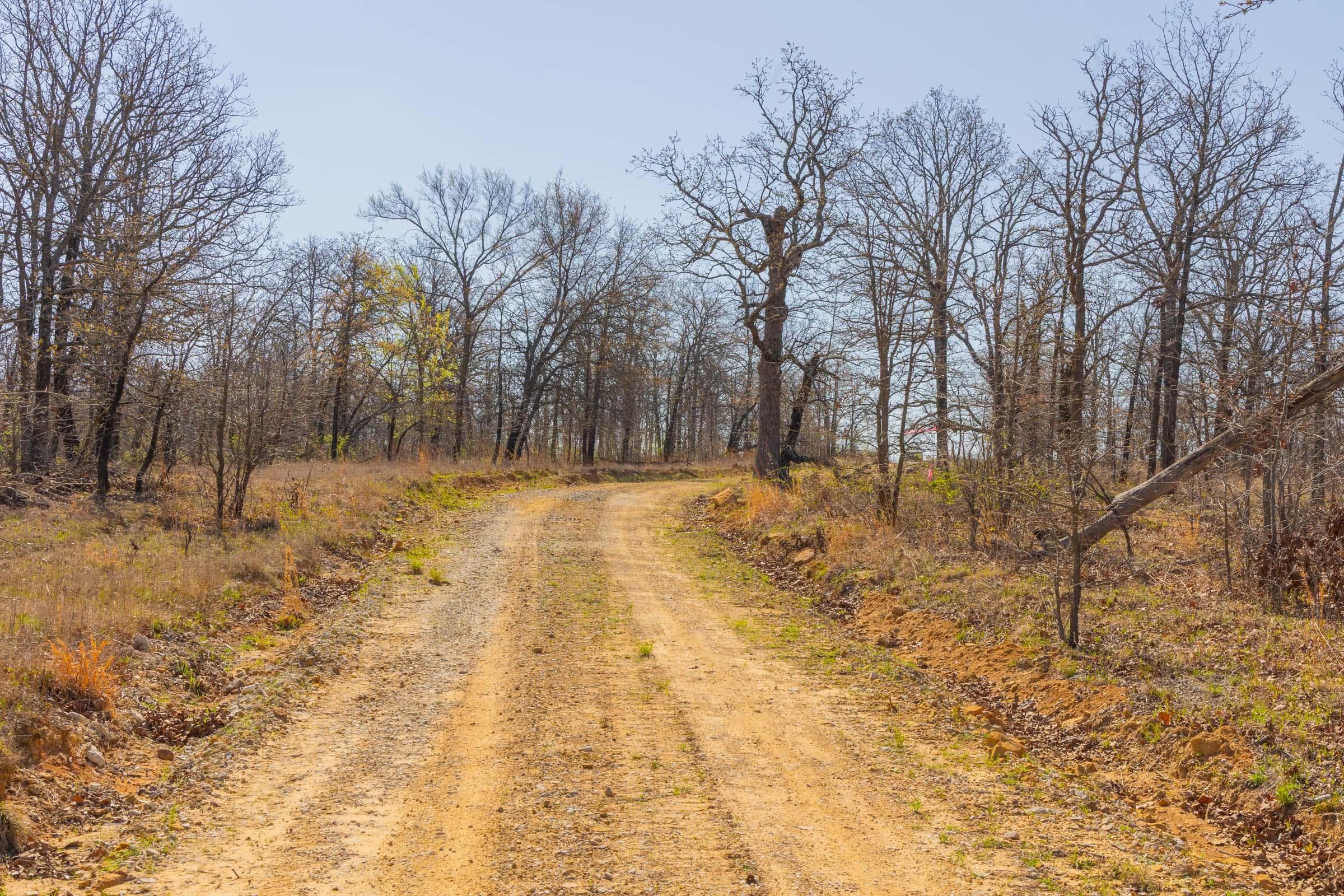 JLH Estates — Zero Credit Land owner financed land for sale in Okfuskee County, Oklahoma photo 78