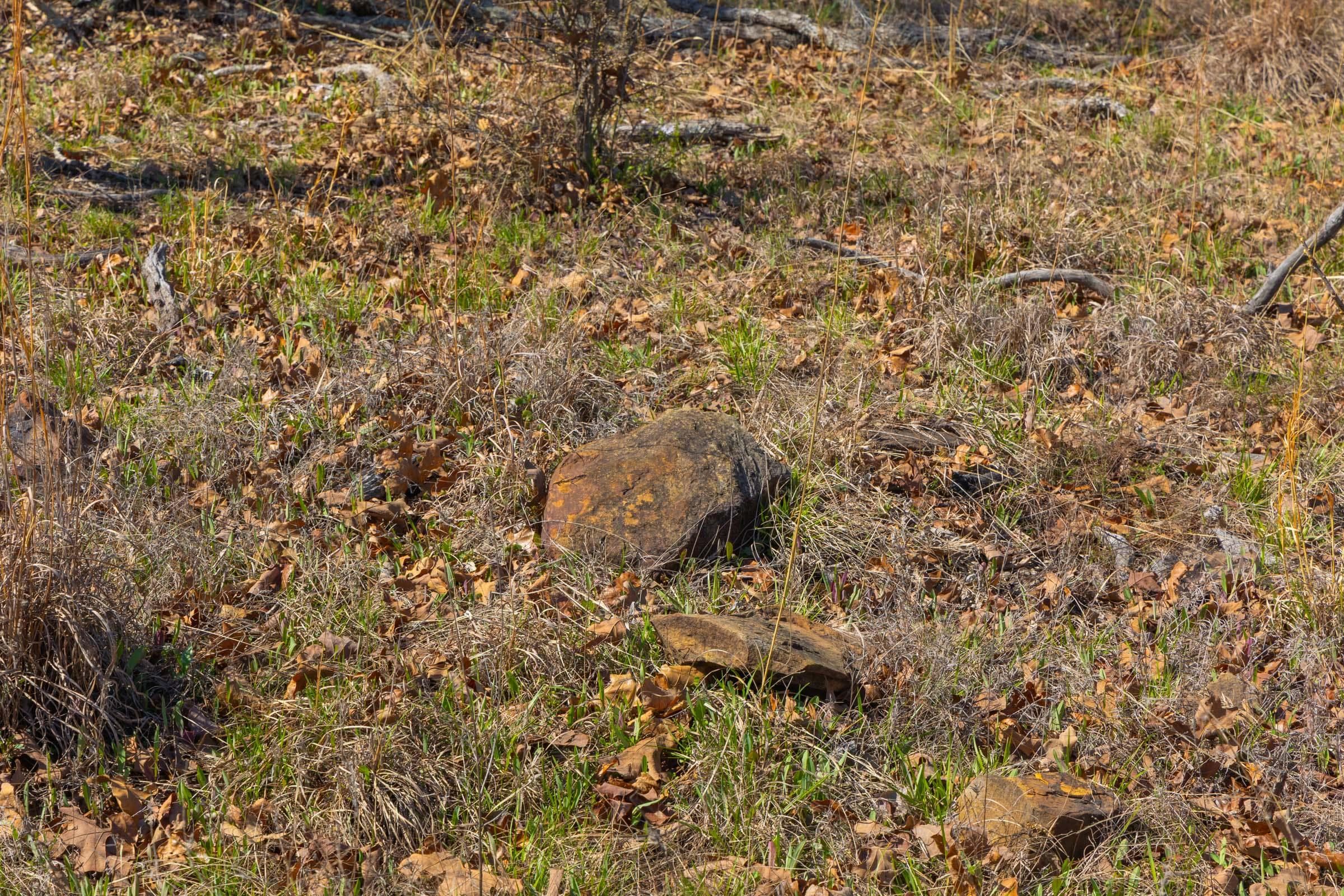 JLH Estates — Zero Credit Land owner financed land for sale in Okfuskee County, Oklahoma photo 79