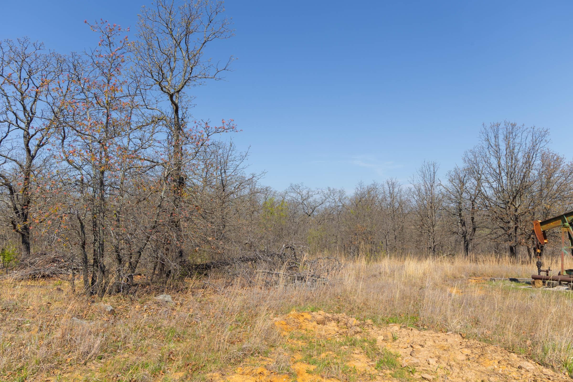 JLH Estates — Zero Credit Land owner financed land for sale in Okfuskee County, Oklahoma photo 73